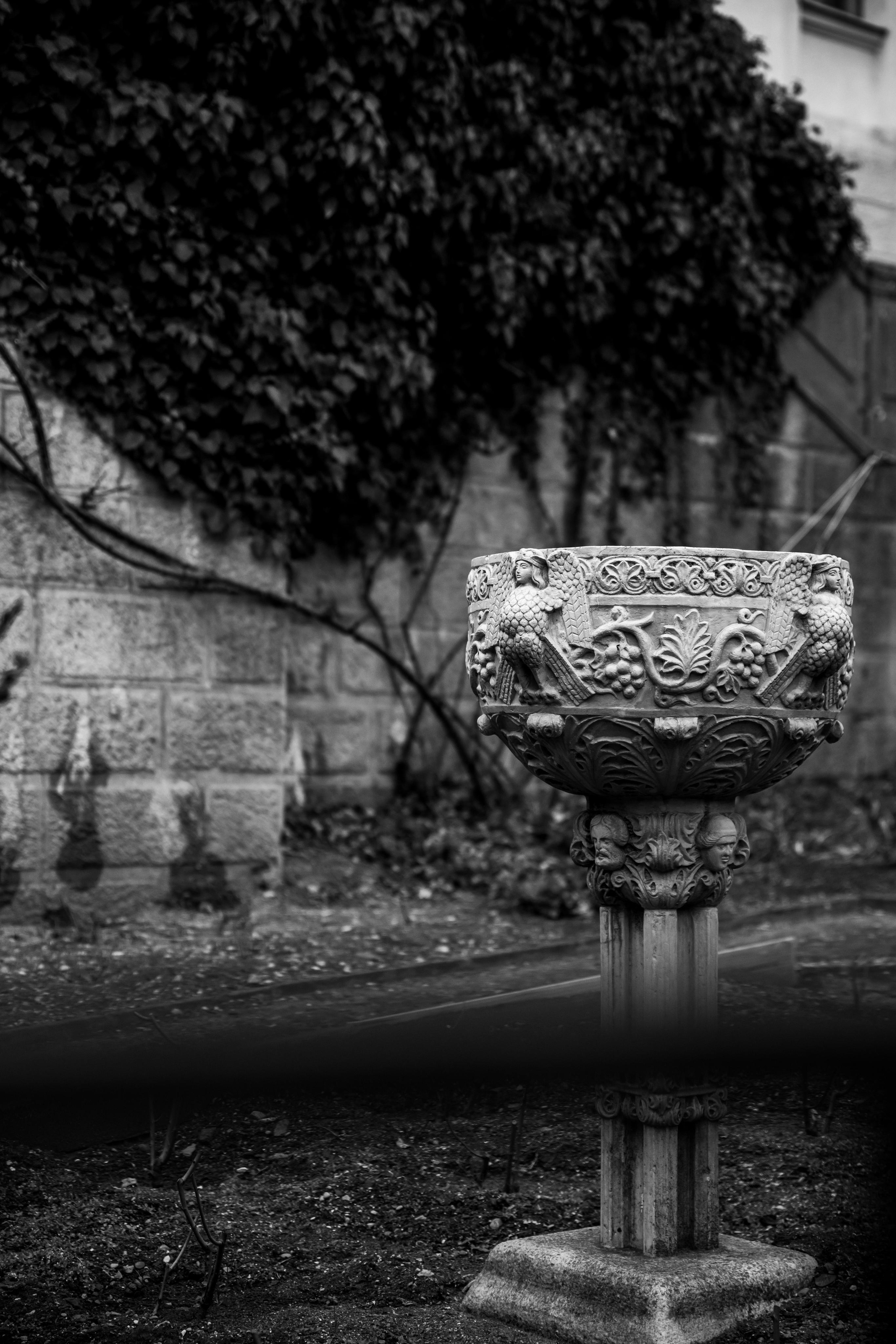 Свадебный фотограф Севастополь Крым. Свадебный и семейный фотограф в Севастополе и в Крыму Анастасия Корчак