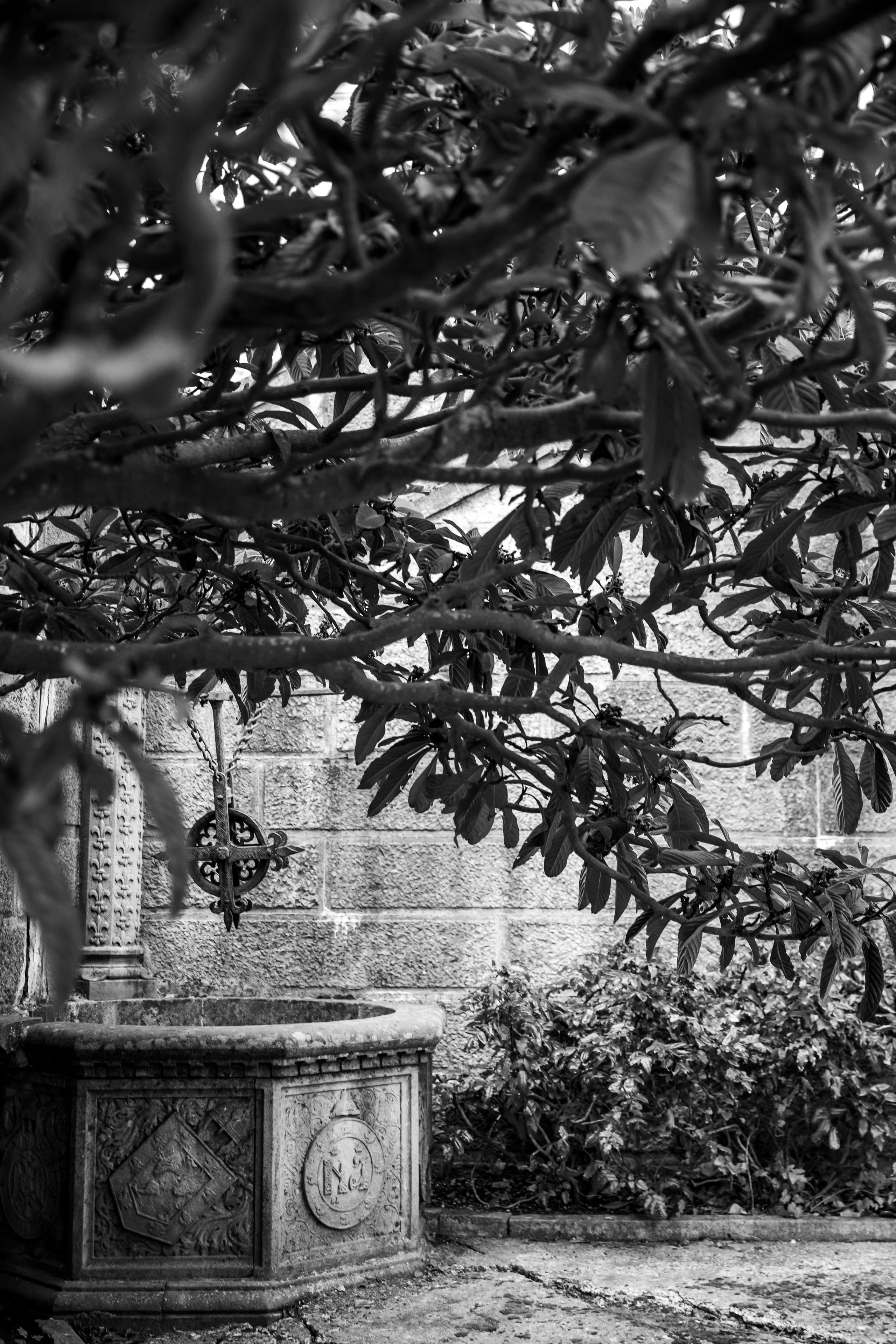 Свадебный фотограф Севастополь Крым. Свадебный и семейный фотограф в Севастополе и в Крыму Анастасия Корчак