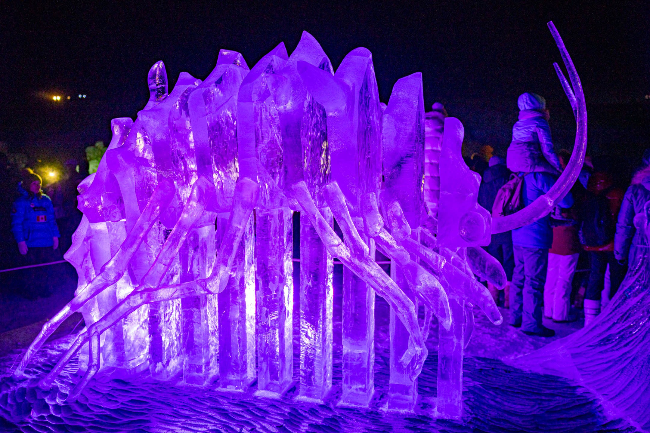 2022 02 Иркутск, Байкал. Фотографии