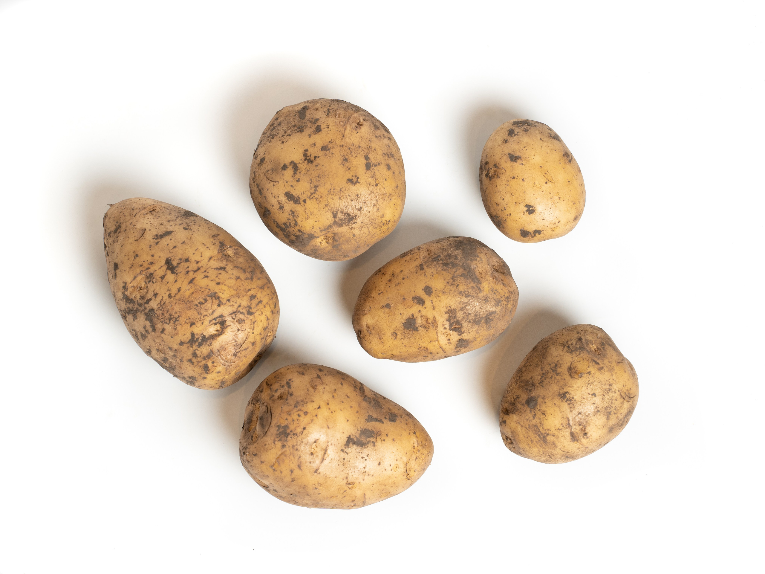 Яндекс Маркет. Предметный и фуд-фотограф в Москве Анна Царенко