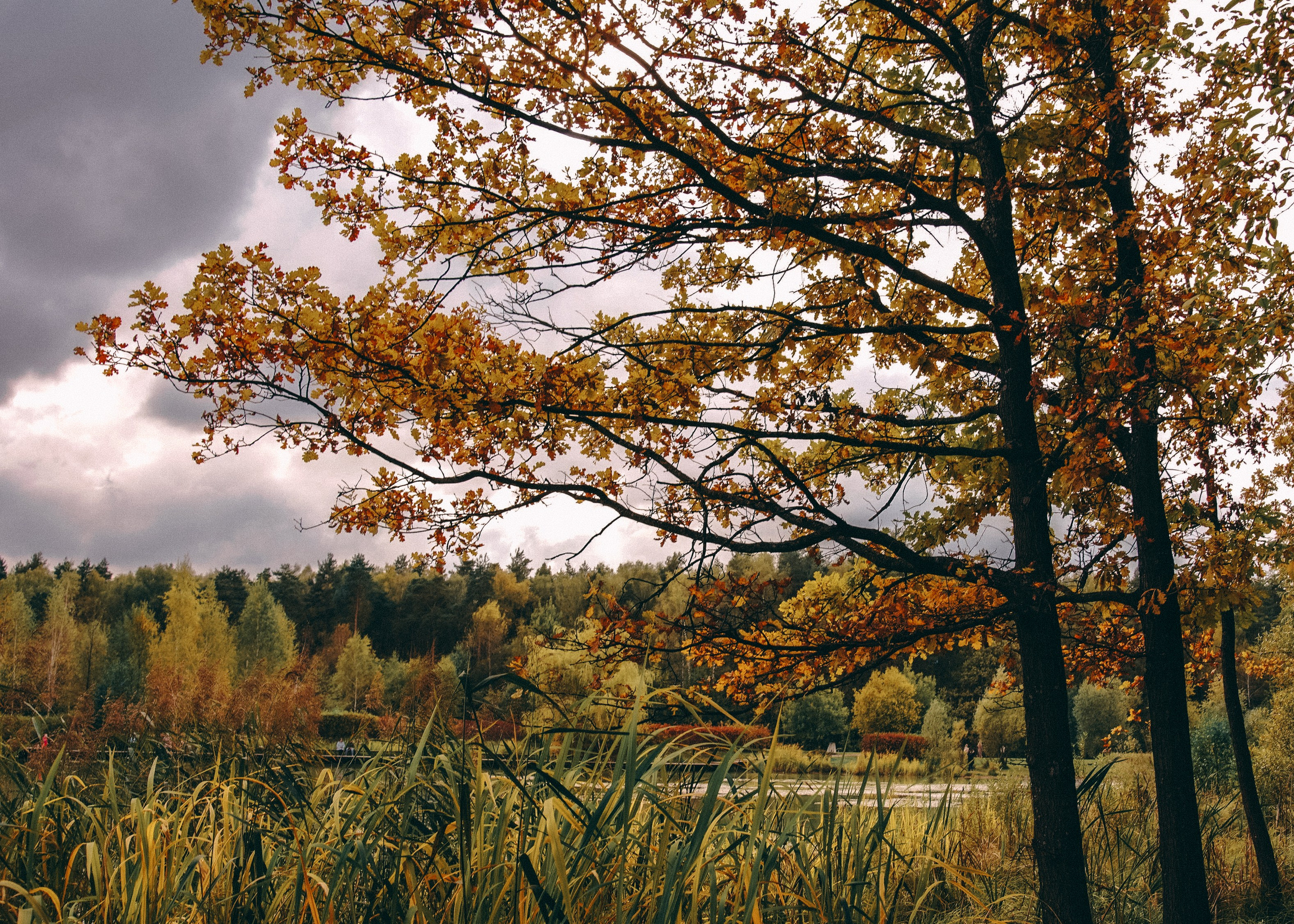 Осень 2025. Фотограф из Москвы — DASHA NOVA | Авторская фотография в разных жанрах