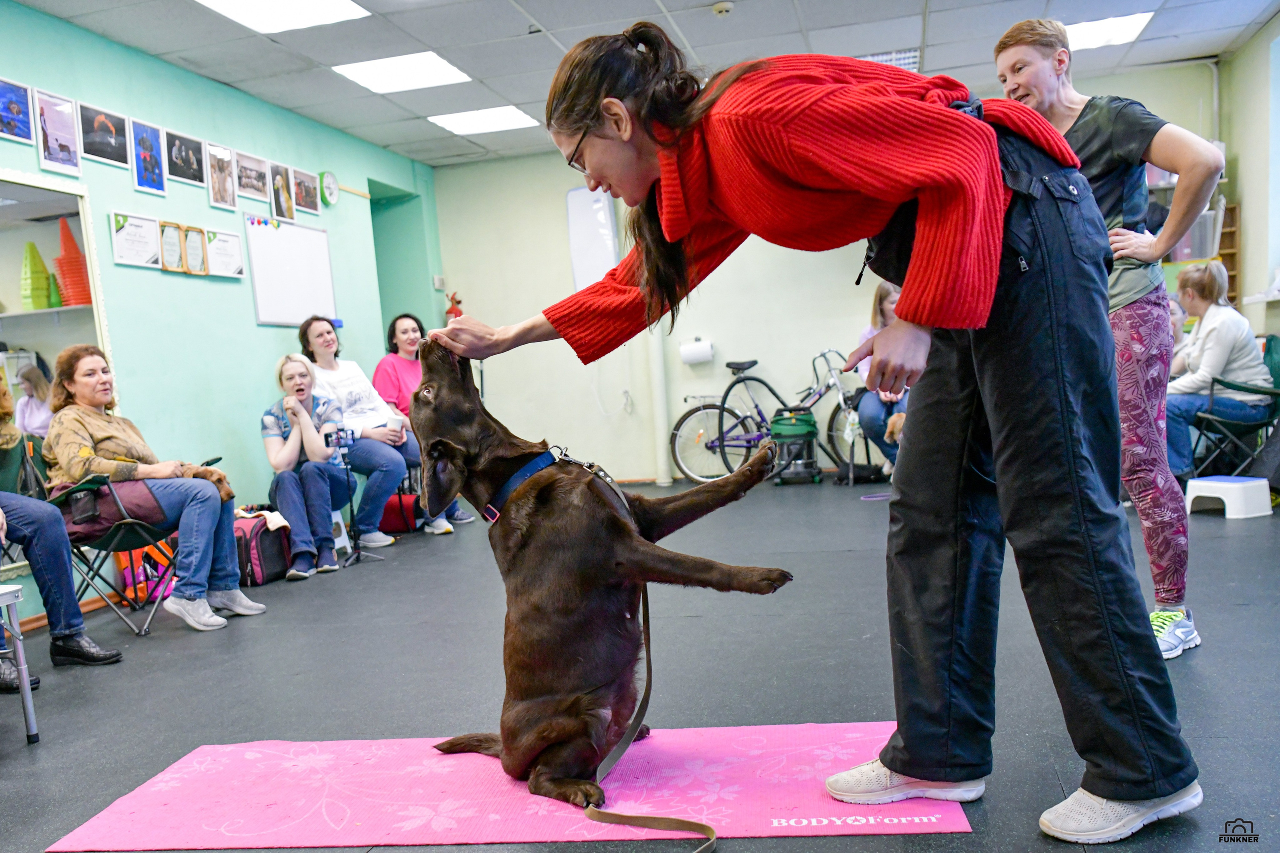 Кинологический клуб «Бодрый хвост». Свой взгляд через объектив
