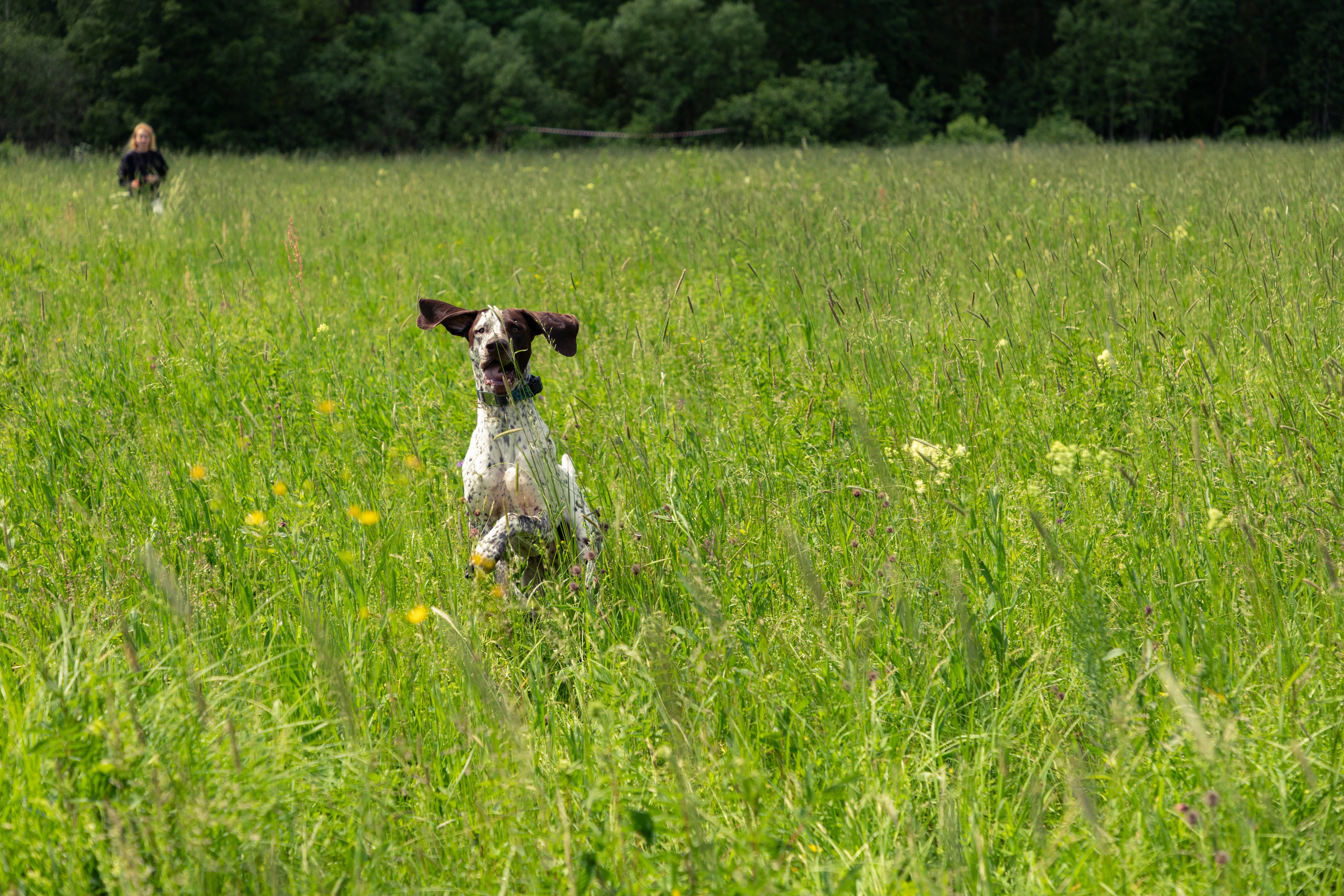 ДПСО «ЛизаАлерт». Главная