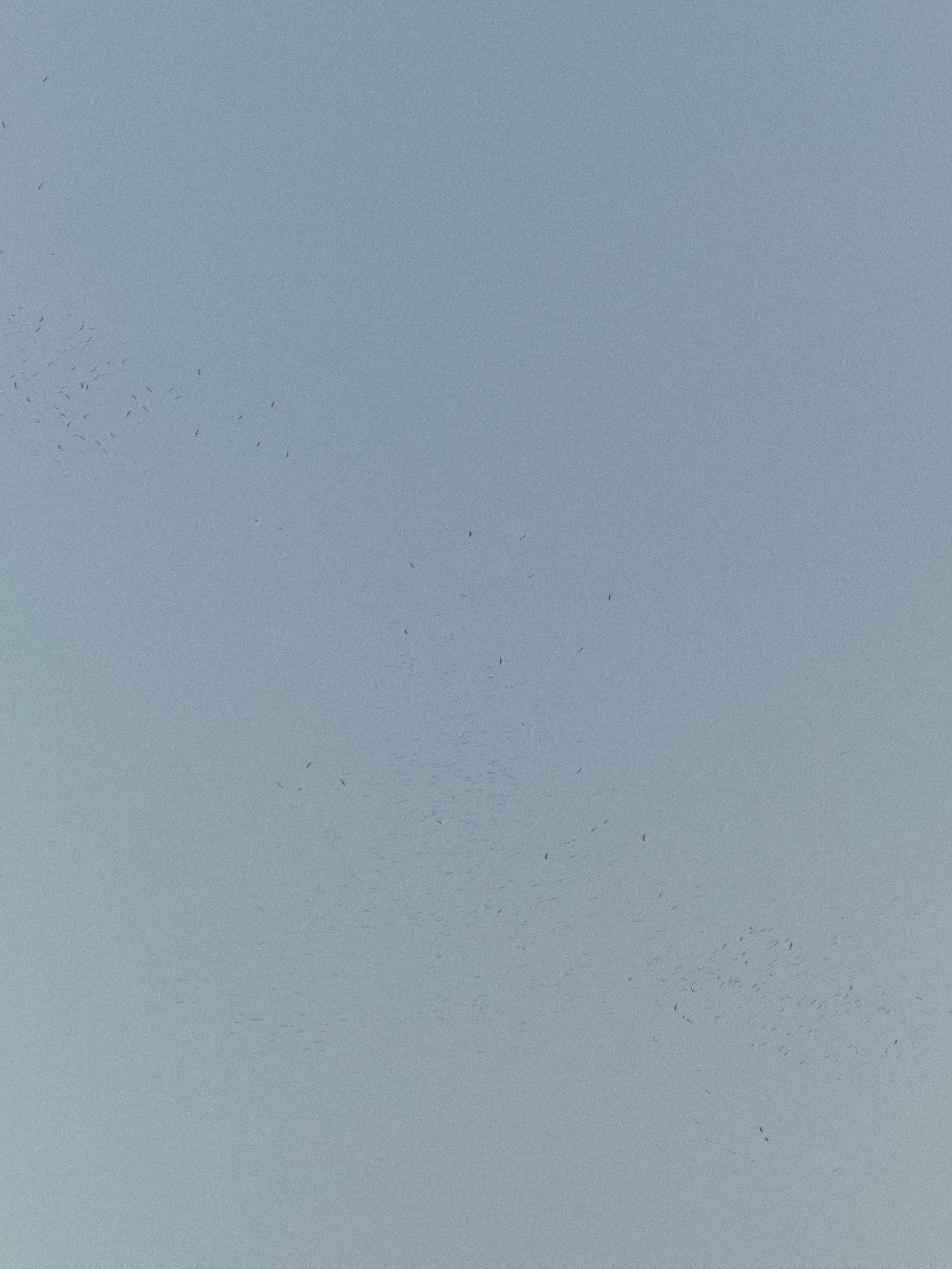 Природа. Jorgis Talè — photographer, kind person, teacher of arts and other mag