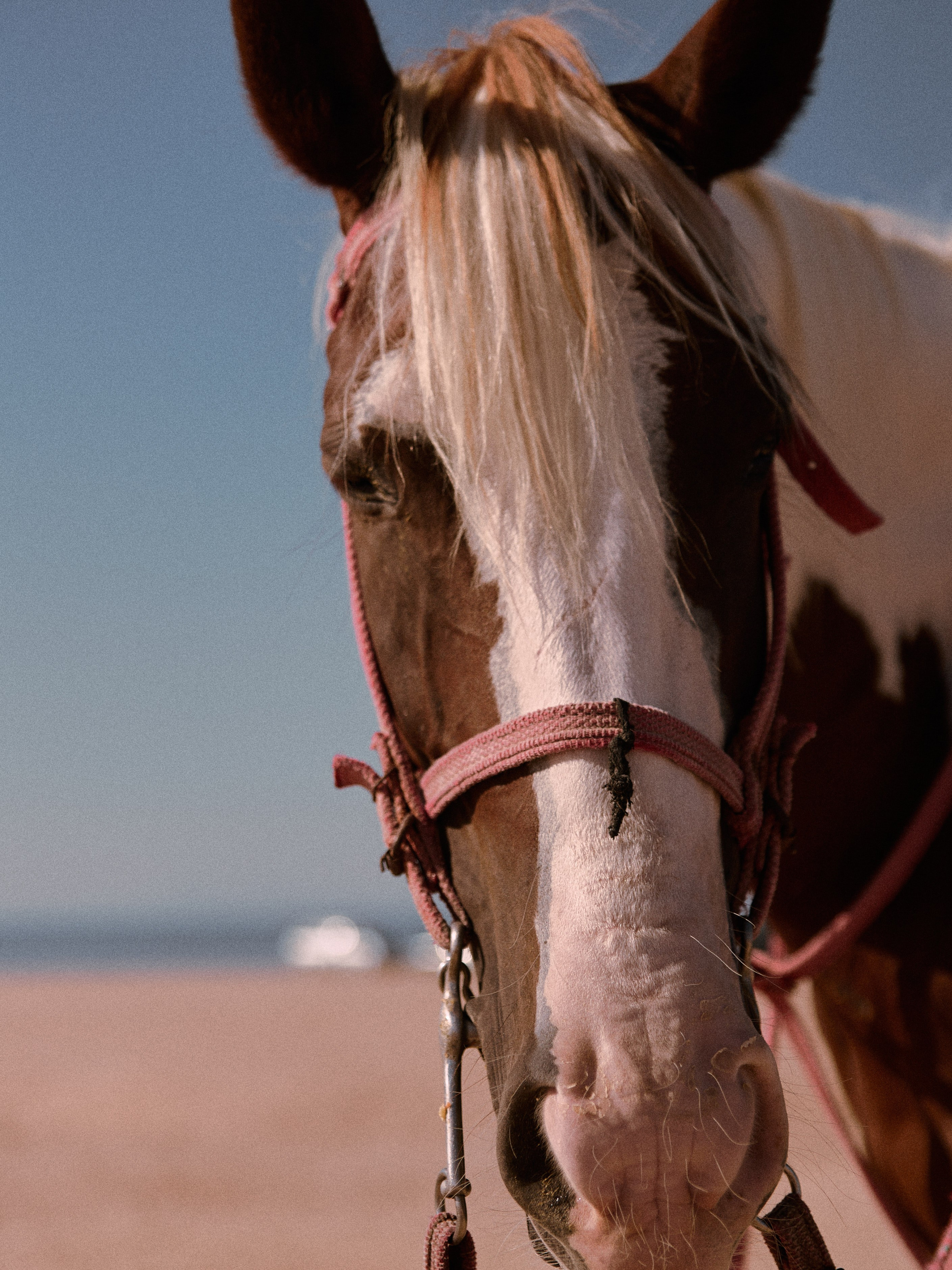 Диптих. Jorgis — фотограф в Хургаде / обучение фотографии