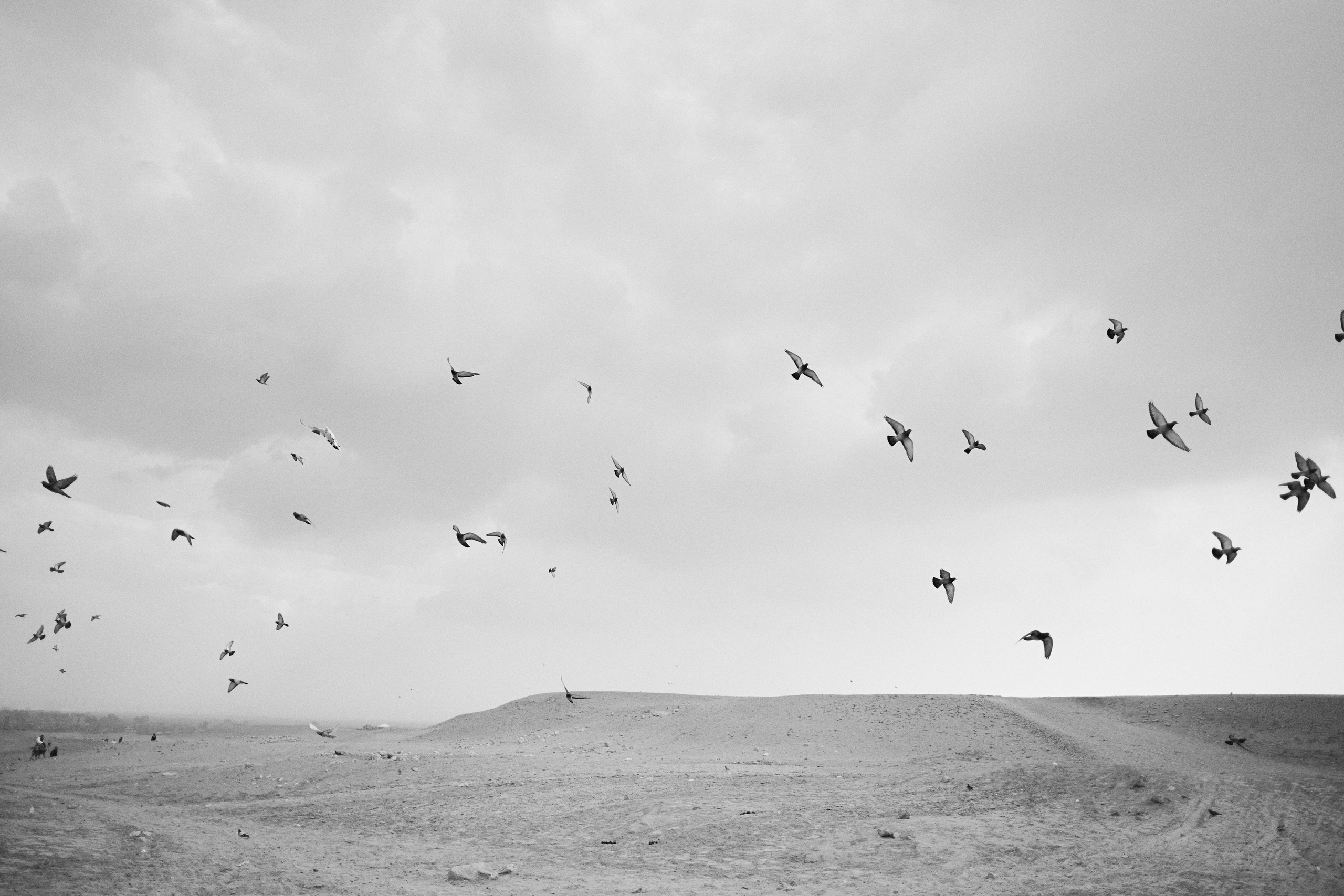 Другое 4. Jorgis — фотограф в Хургаде / обучение фотографии