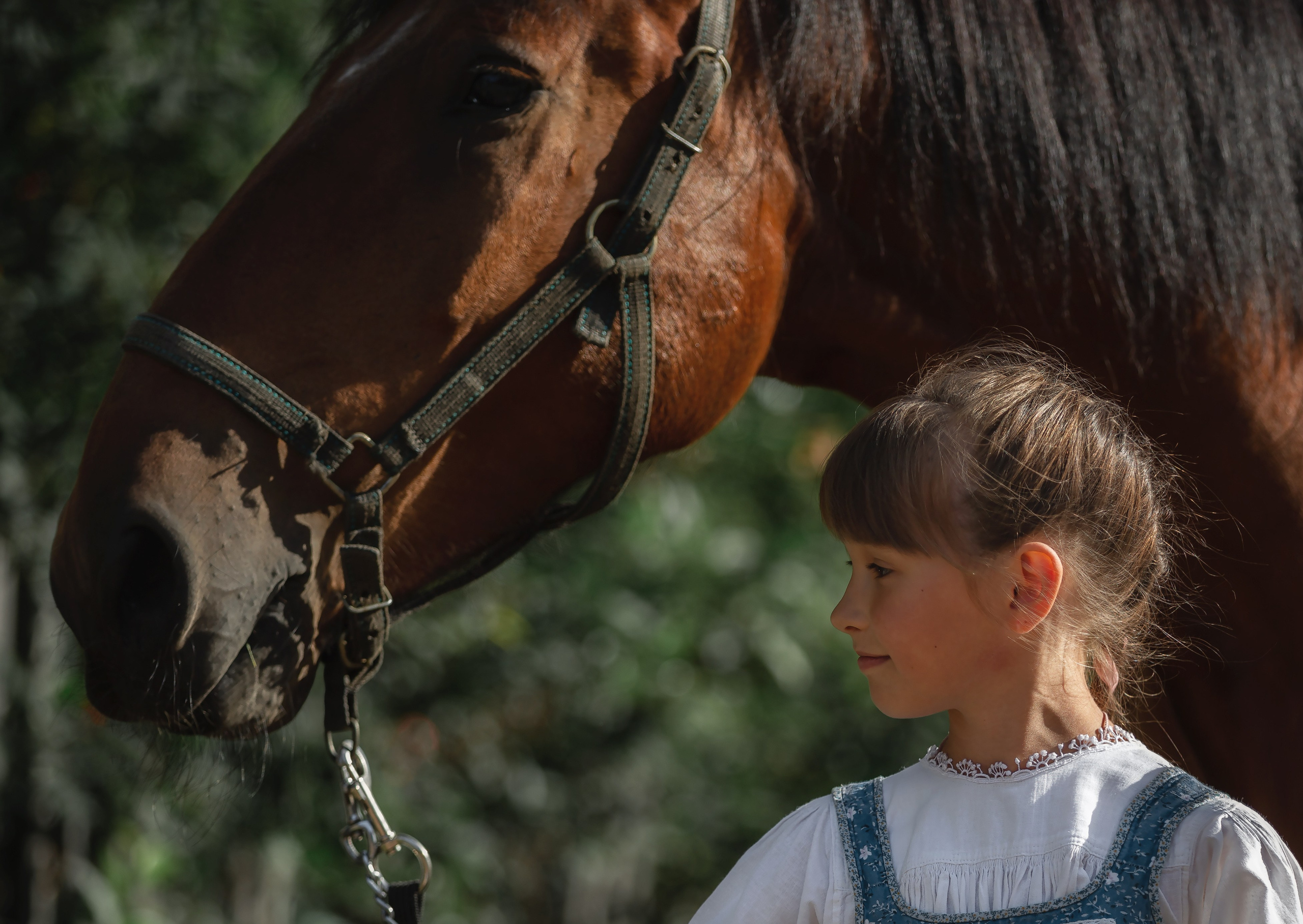 Мечта. Фотограф — путешественник Светлана Романовская