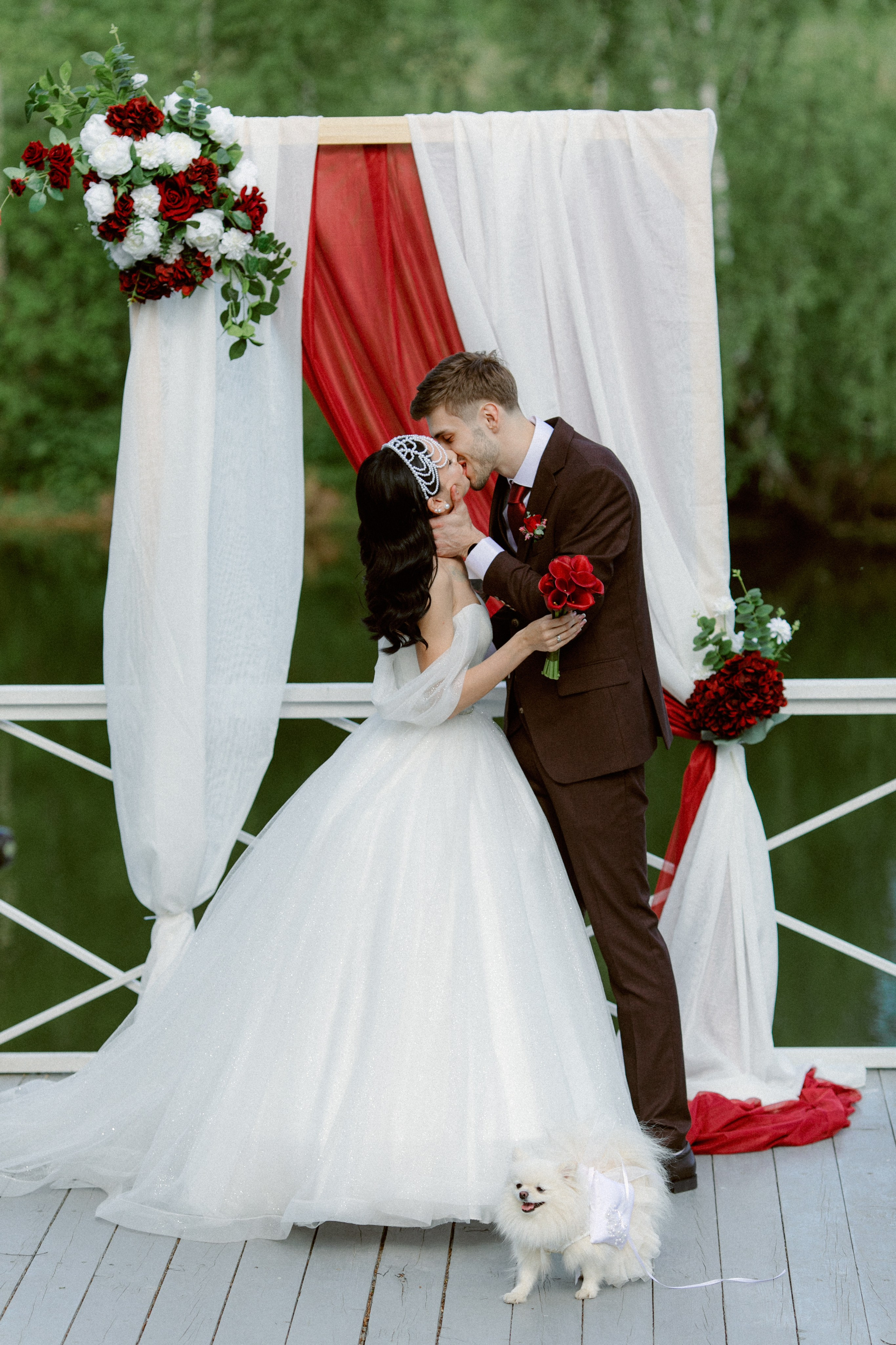 Dog Friendly. Свадебный и репортажный фотограф