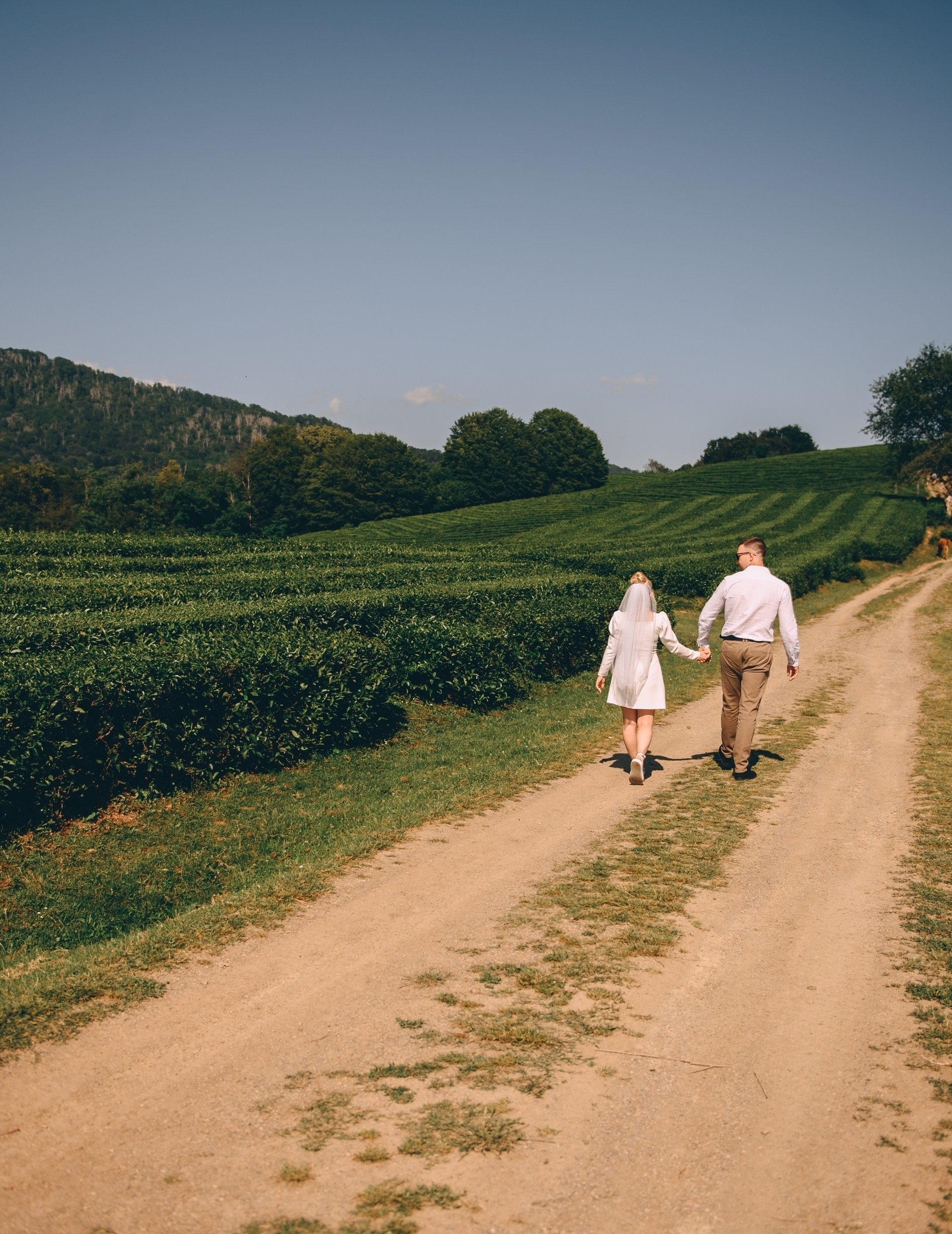 От Центрального Сочи в Сириус. Свадебный и семейный фотограф София Невская
