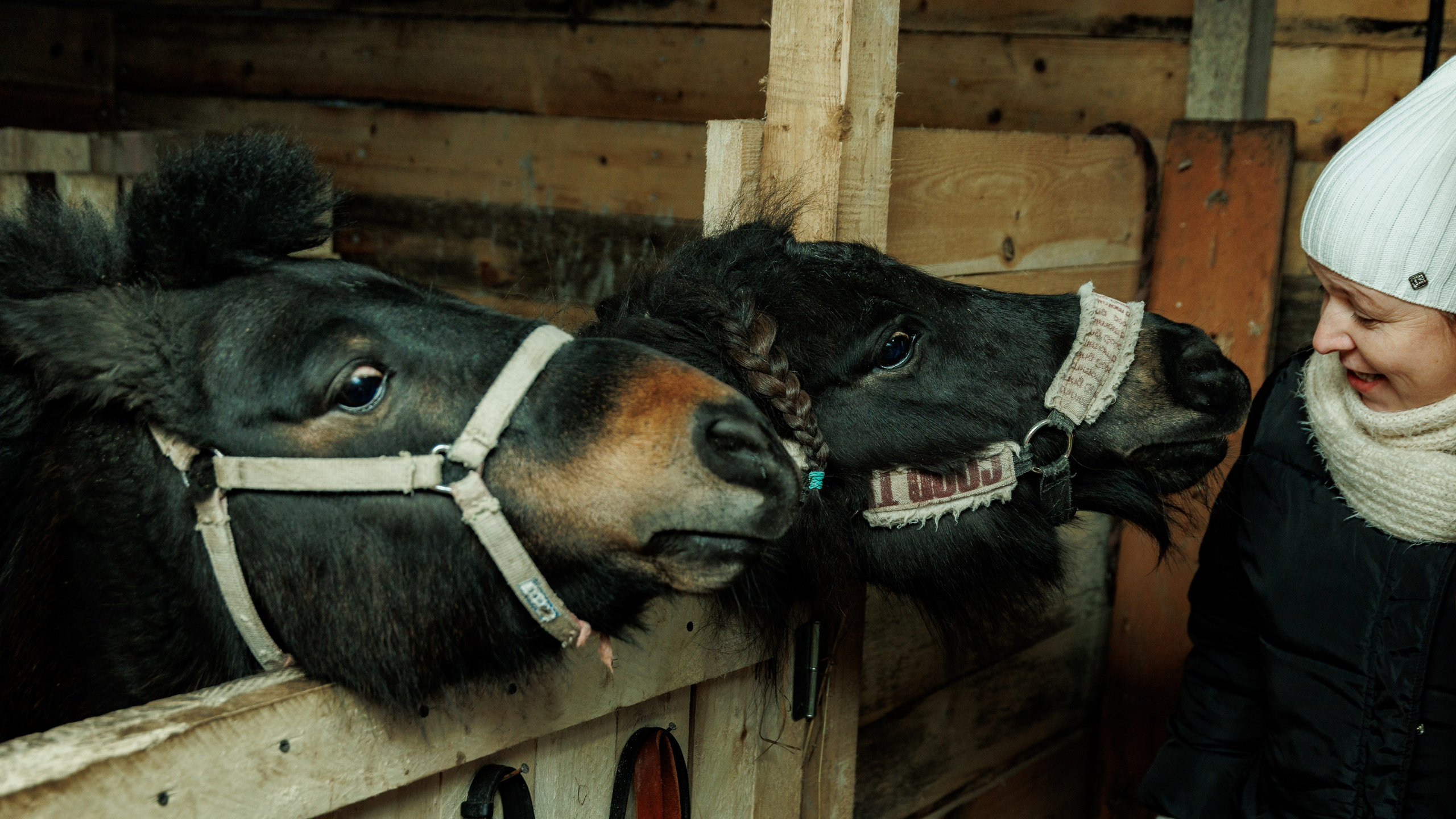 Миниферма в Теребочево. Свадебный и семейный фотограф в г. Волхов Алексей Кочерыжкин