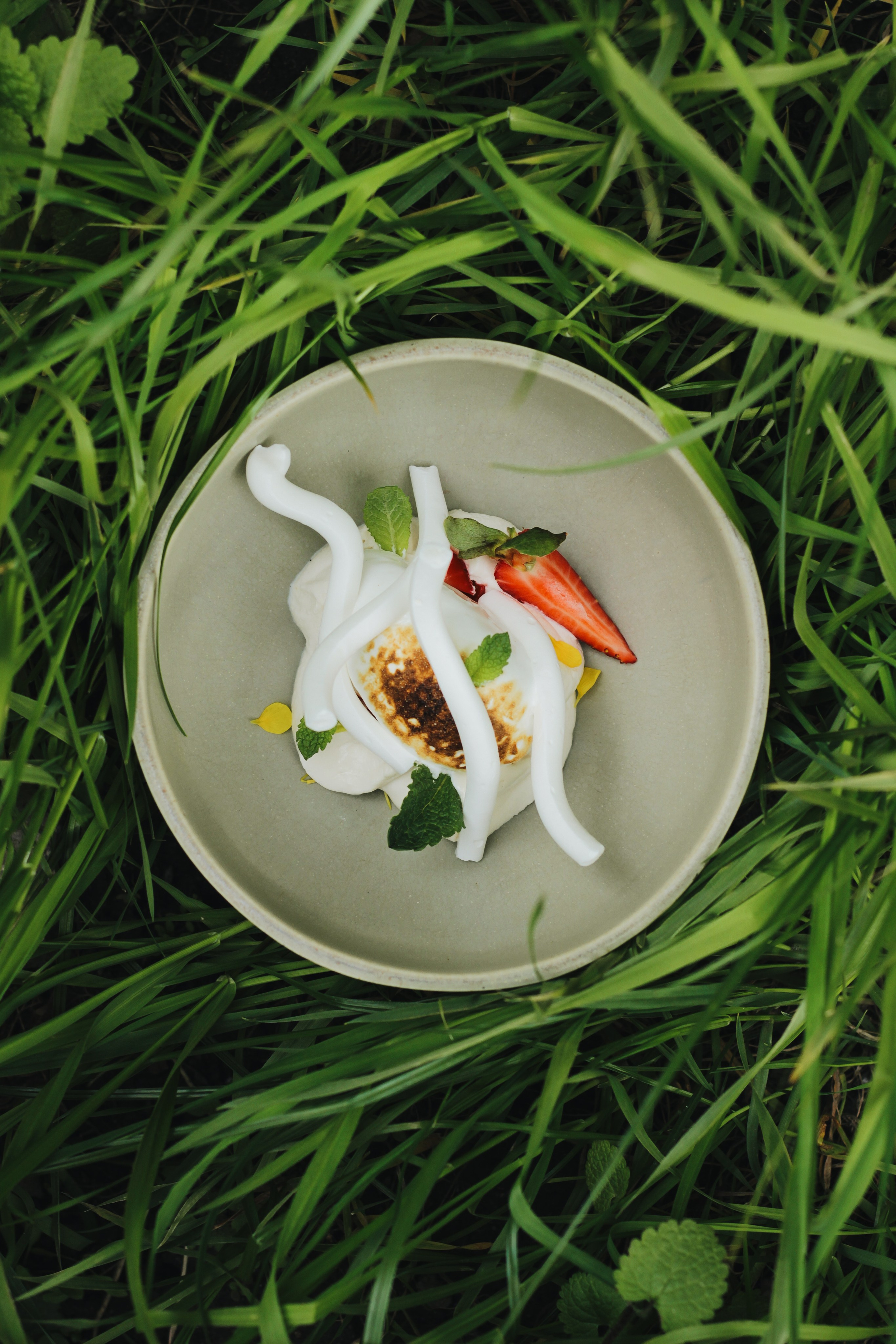 Animals. Света Голобородько, фудфотограф в Санкт-Петербурге