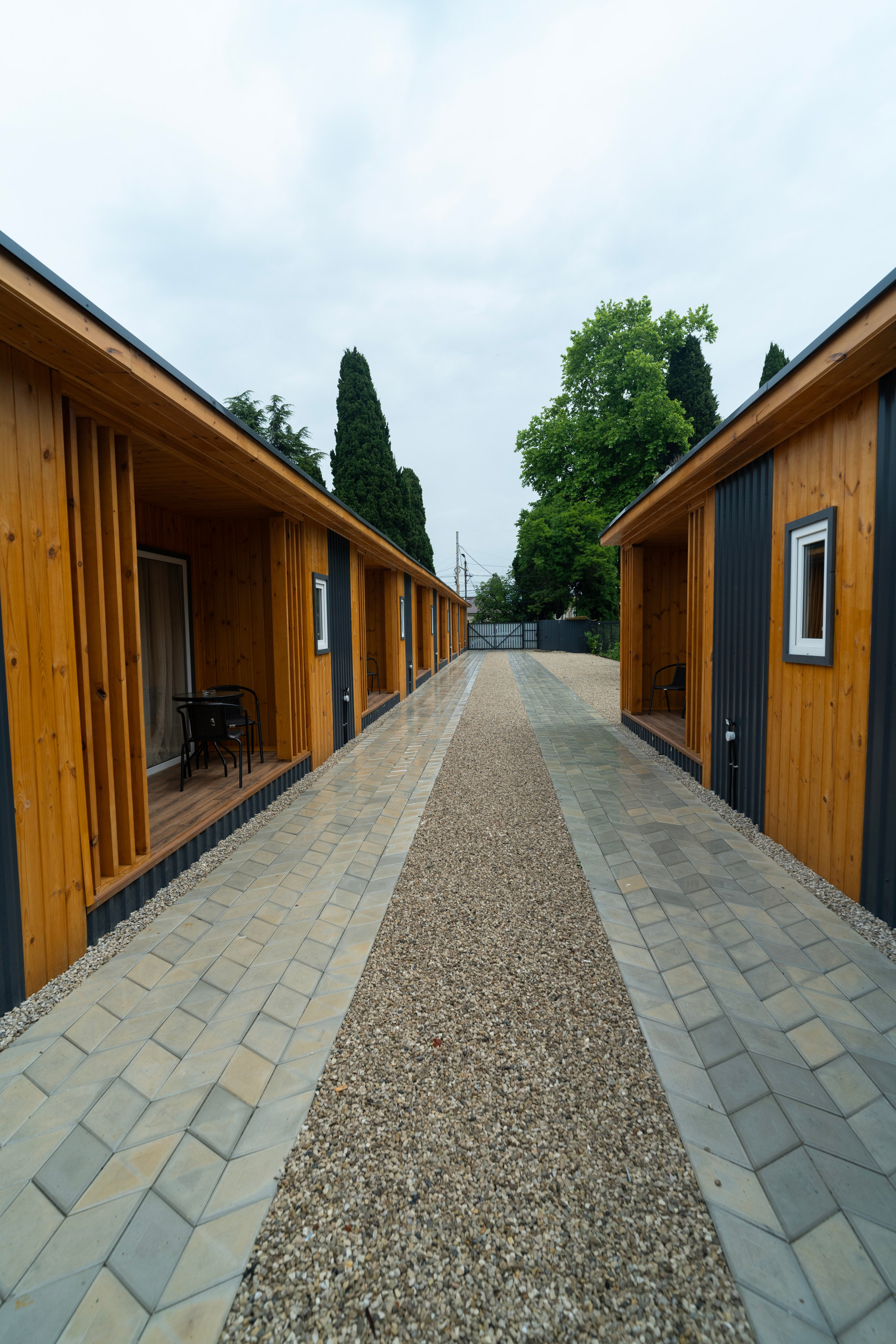 Дионис. Главная