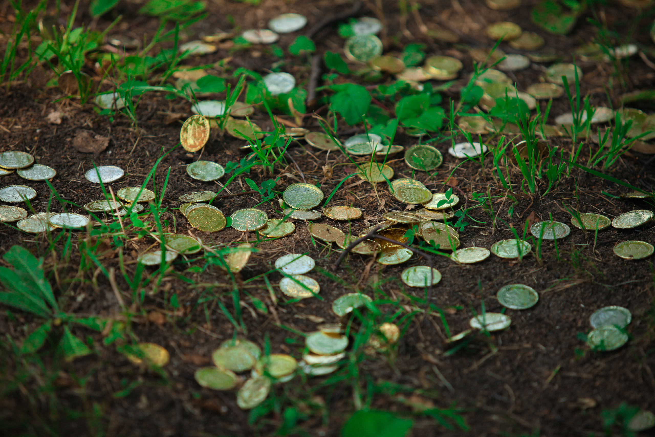 ТЕПЛОХОД. ЛЕТНИЙ КОРПОРАТИВ. Территория M.I.C.E. Территория EVENT. Организация мероприятий