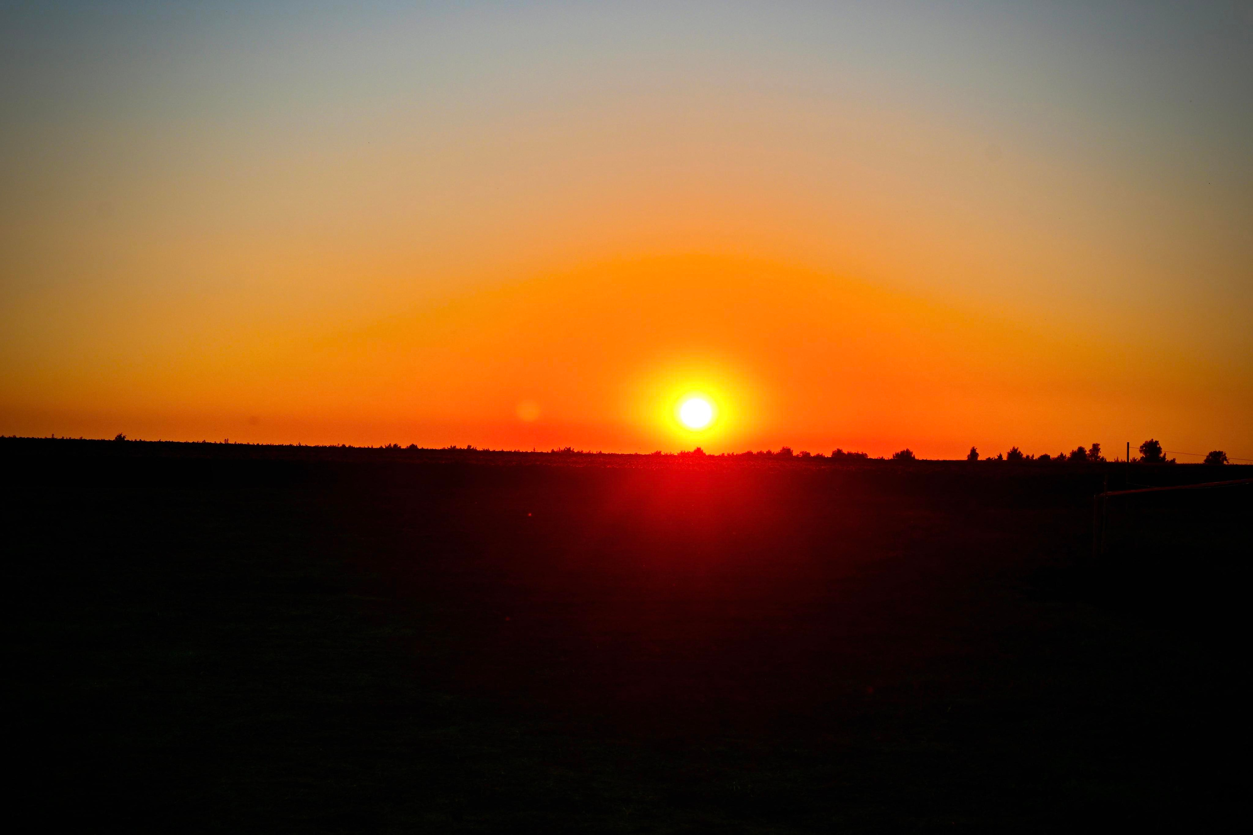 ДЕНЬ ПОЛЯ 2022 Пенза. Территория M.I.C.E. Территория EVENT. Организация мероприятий