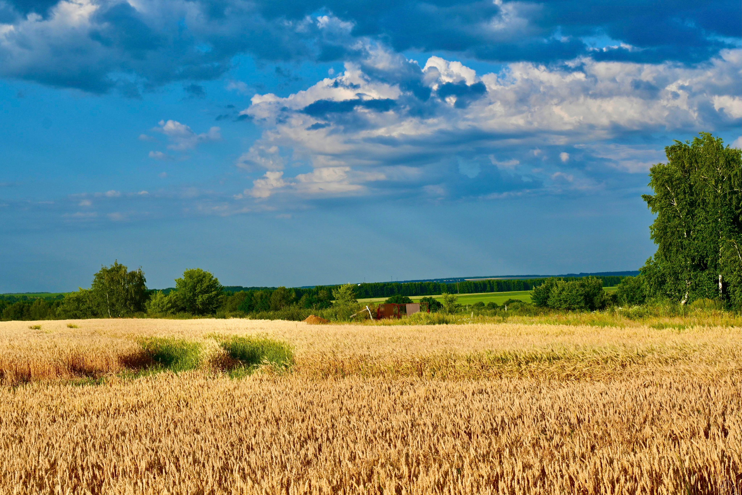 ДЕНЬ ПОЛЯ 2022 Пенза. Территория M.I.C.E. Территория EVENT. Организация мероприятий