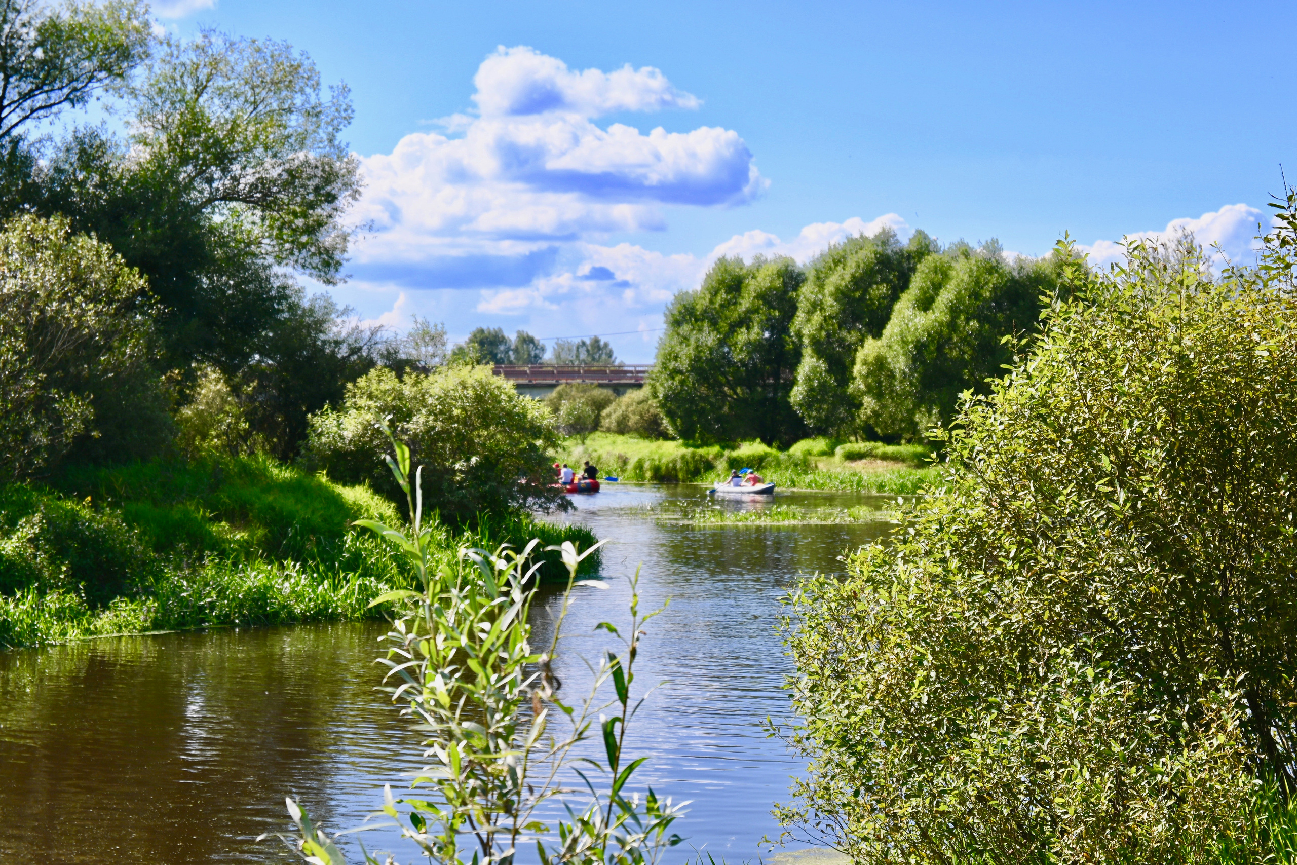 СЕМЕЙНЫЙ ТУРПОХОД. Территория M.I.C.E. Территория EVENT. Организация мероприятий