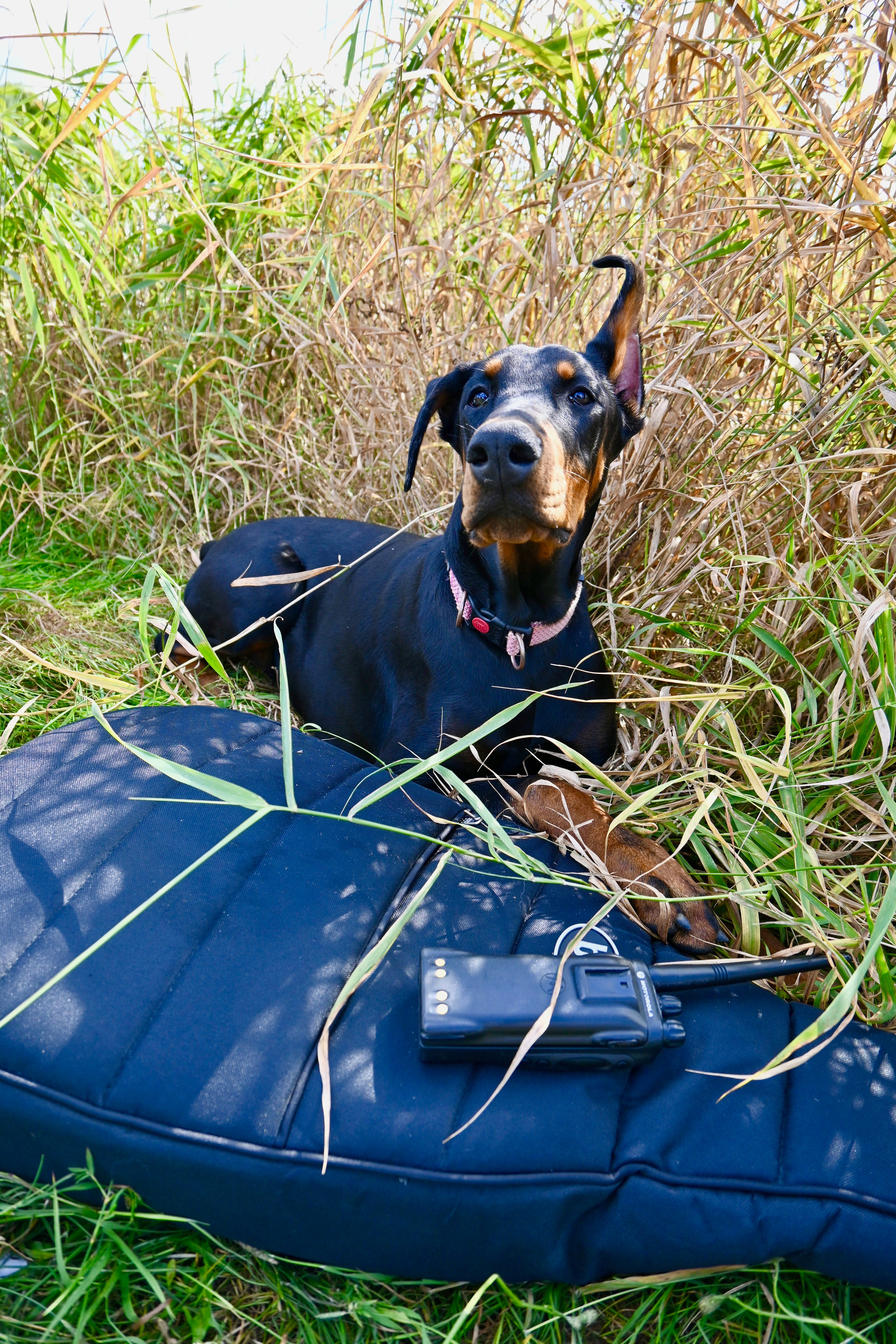 СЕМЕЙНЫЙ ТУРПОХОД. Территория M.I.C.E. Территория EVENT. Организация мероприятий