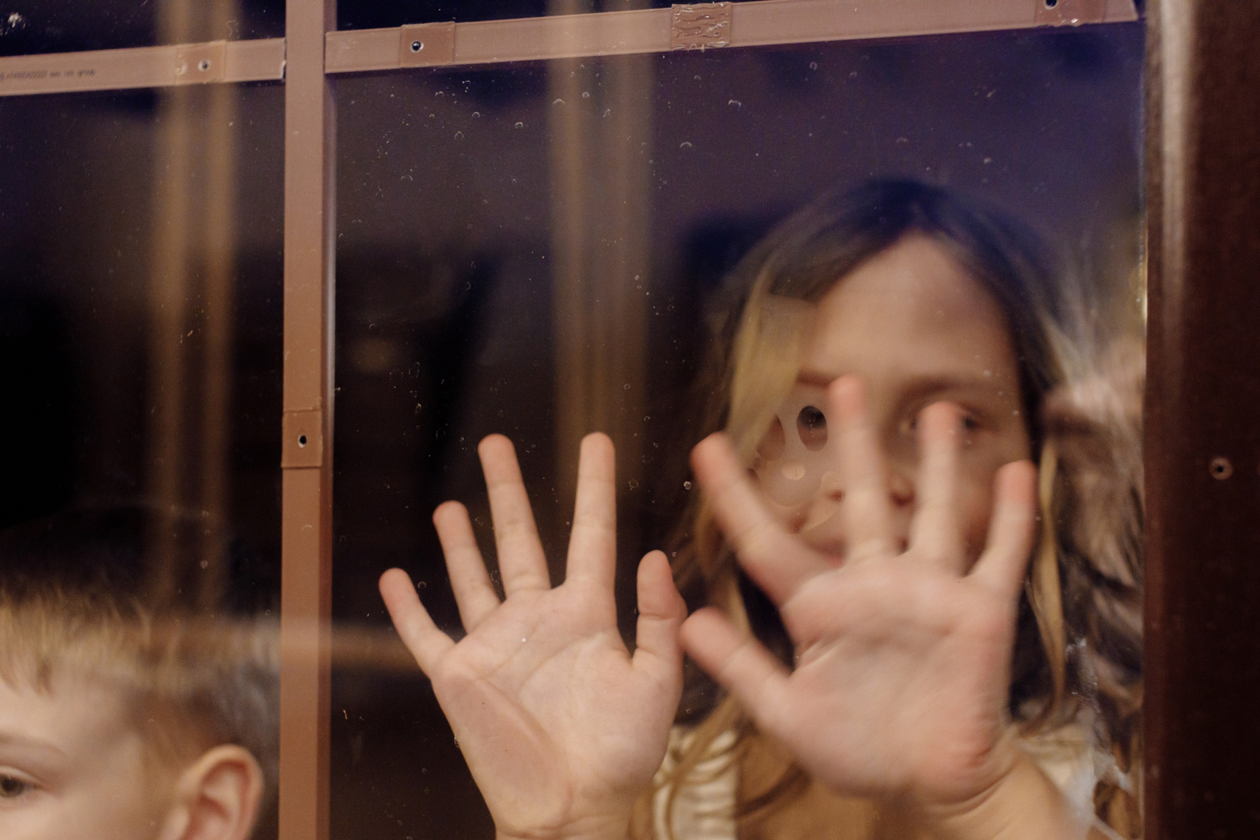 Новогодняя студия 23. Фотограф, видеограф