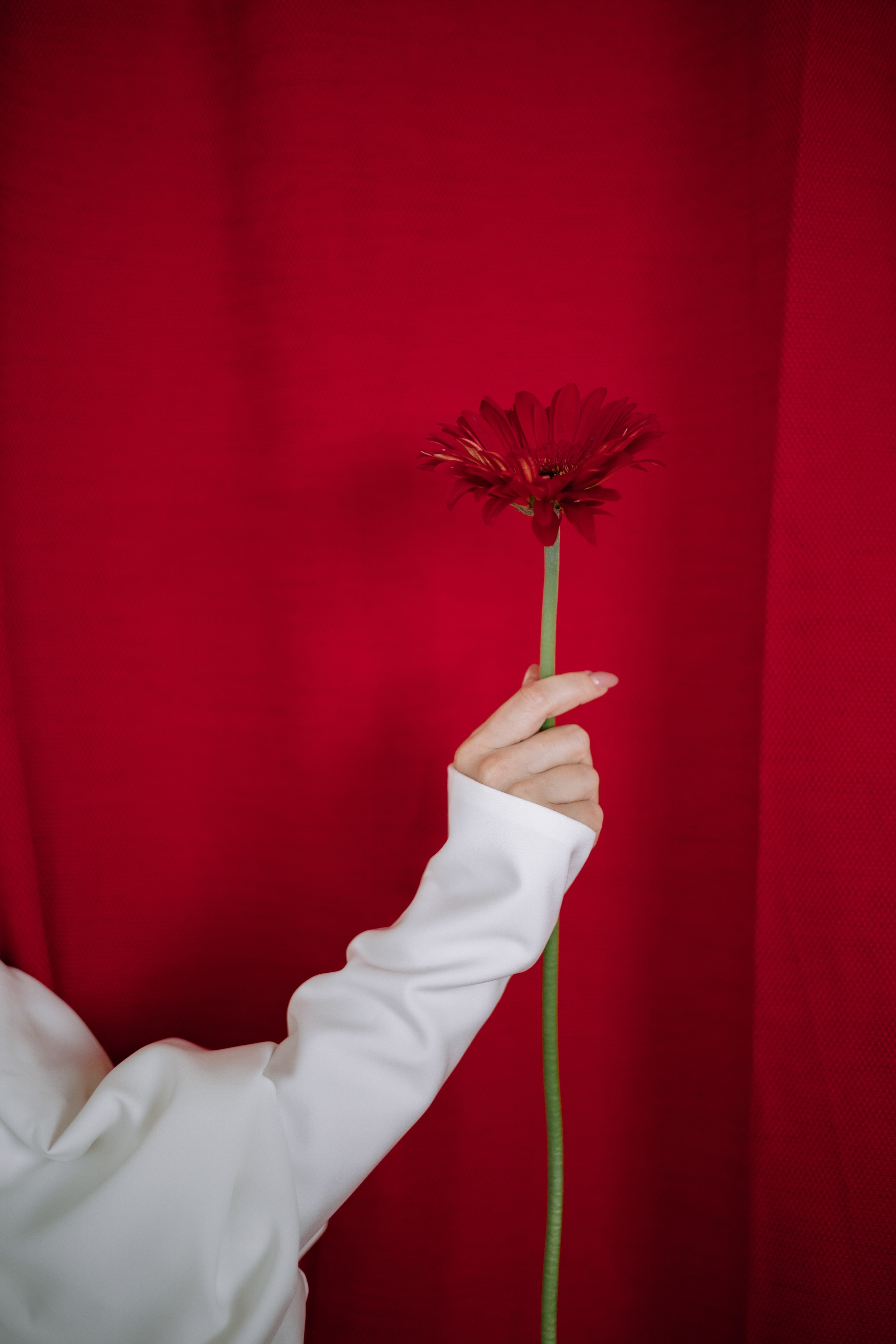 RED. Фотограф Елена Краснопевцева