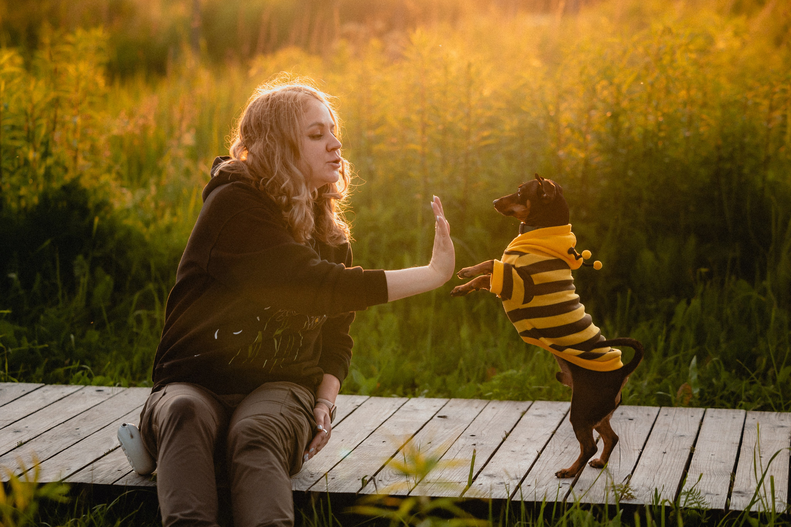 Выездной дог-тренинг от школы «Шерсть имею»