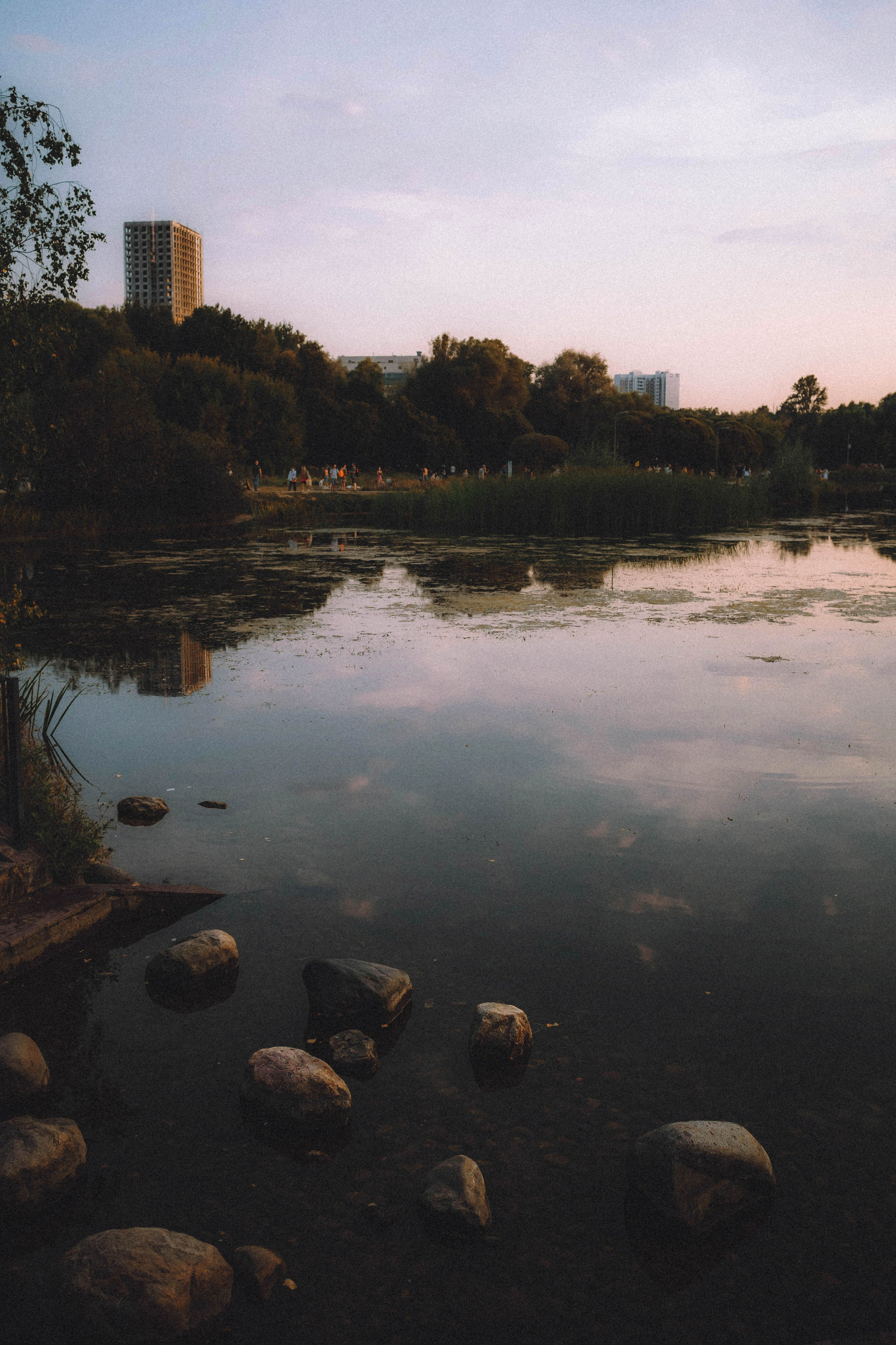 Арчи и его семья