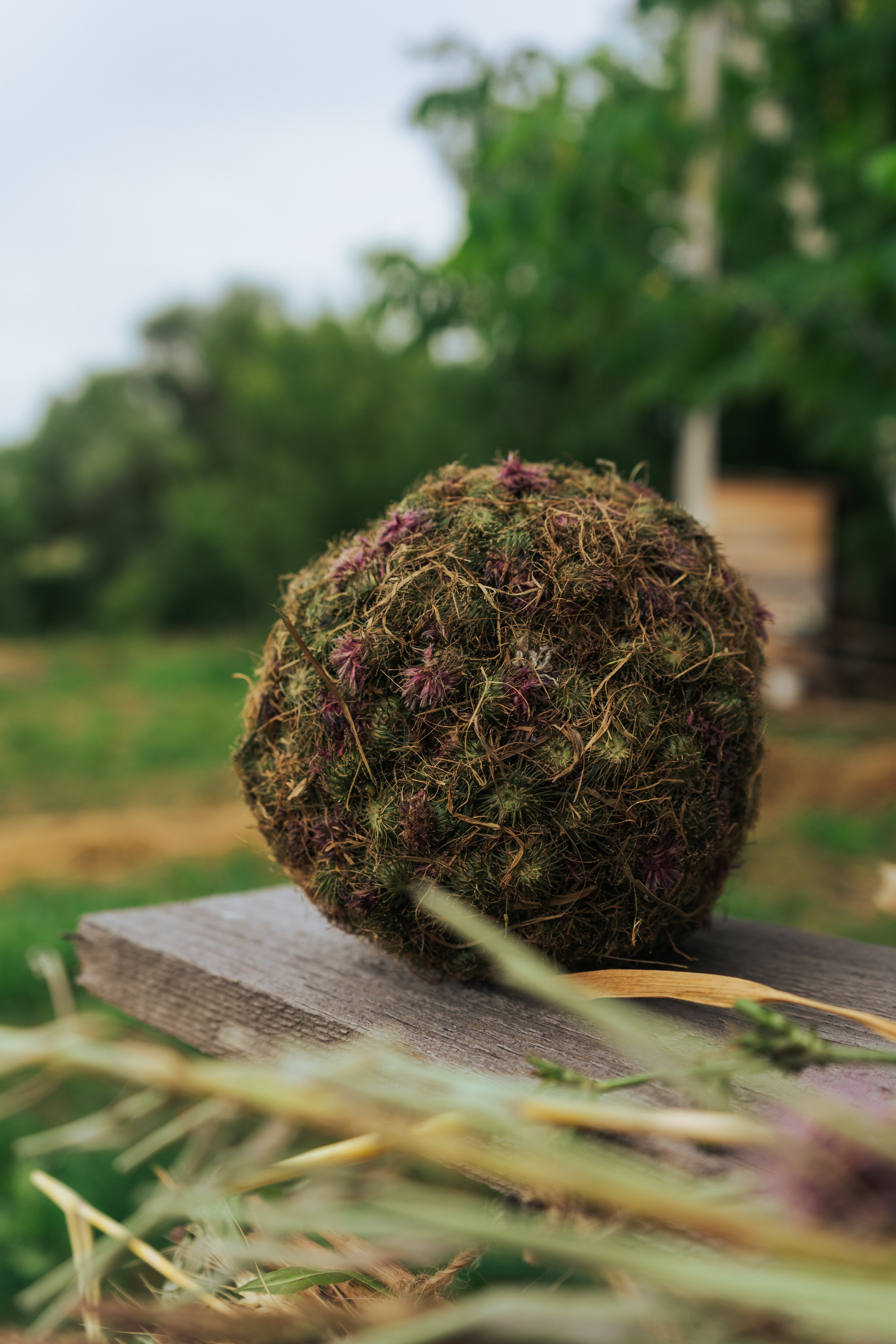 Ретрит от т-центра Псайторий 2024. Портретный фотограф Нижний Новгород