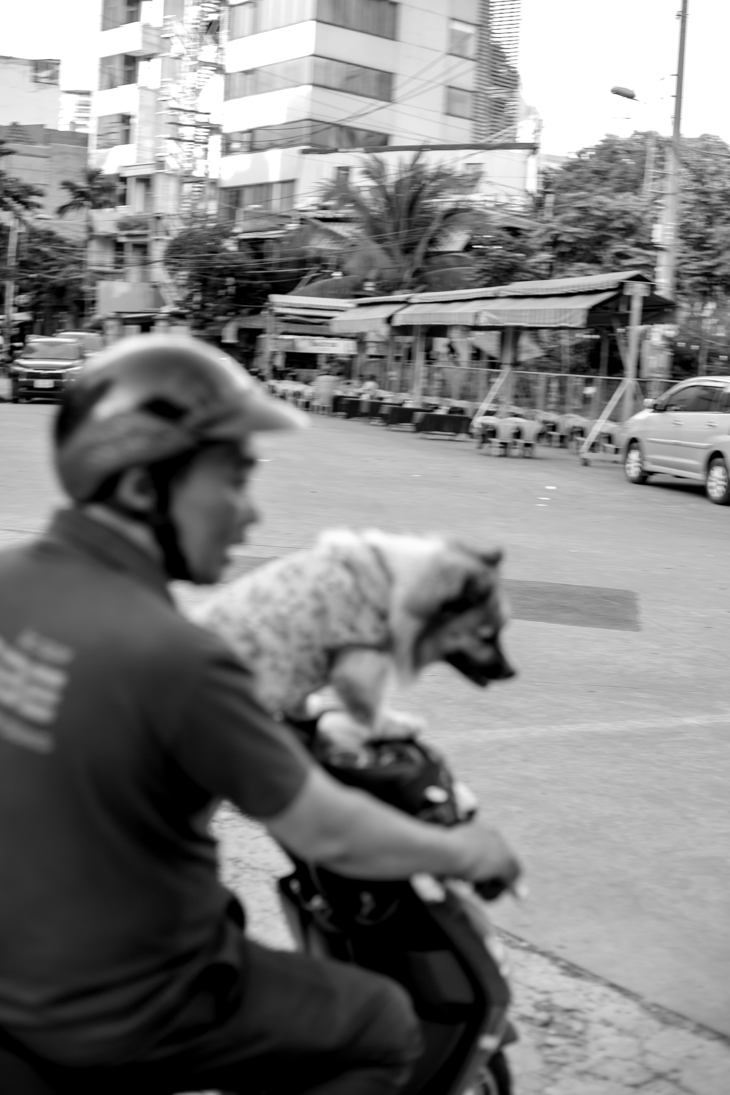 Ho Chi Minh, Vietnam | Part 2| 2025. Art Photographer