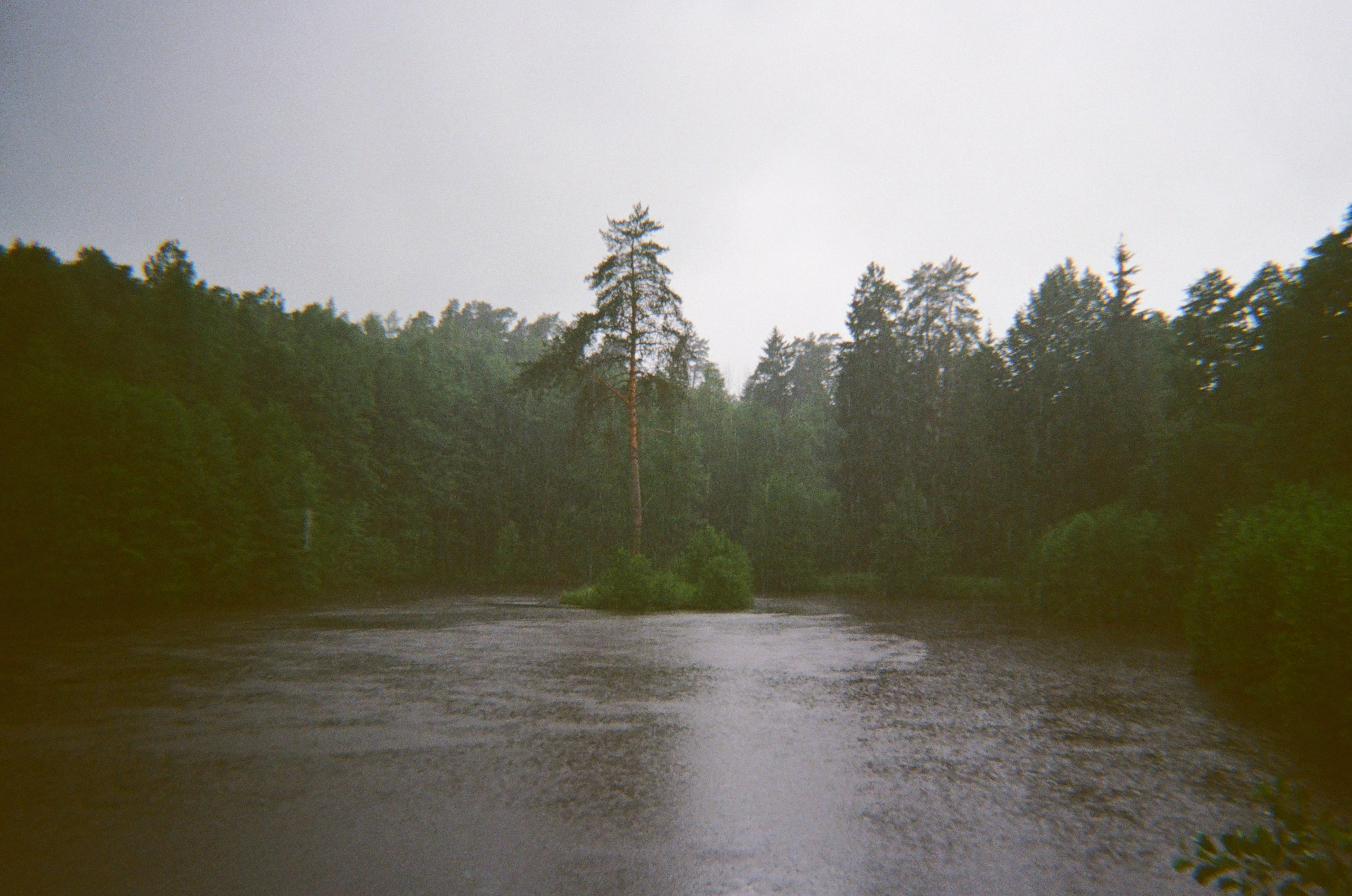 НИКИТА И ТАНЯ (ПЛЁНКА). Свадьбы