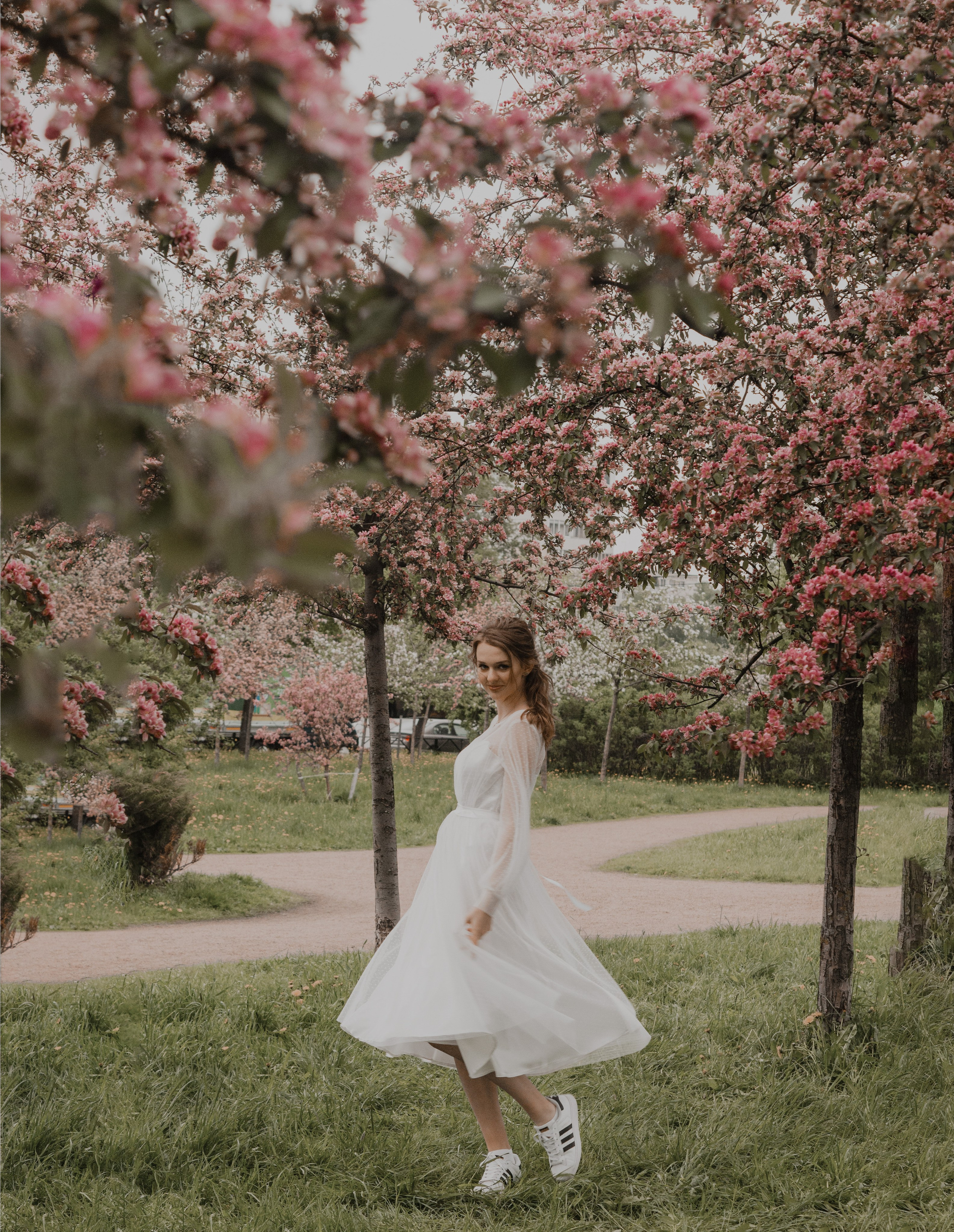 Цветение яблонь и вишни / Свадебная