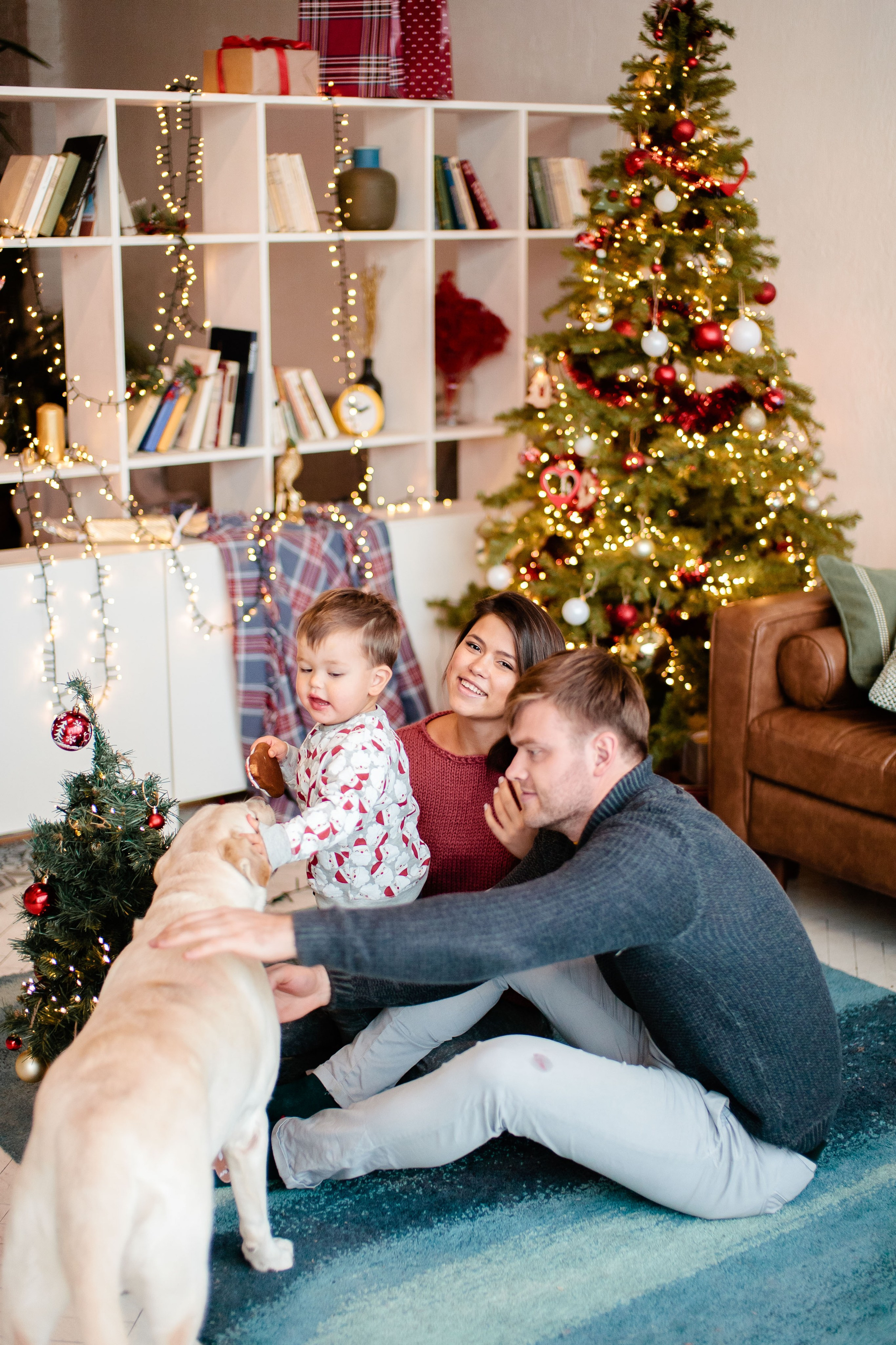 Семейная Новогодняя фотосессия в студии, фотограф в Москве