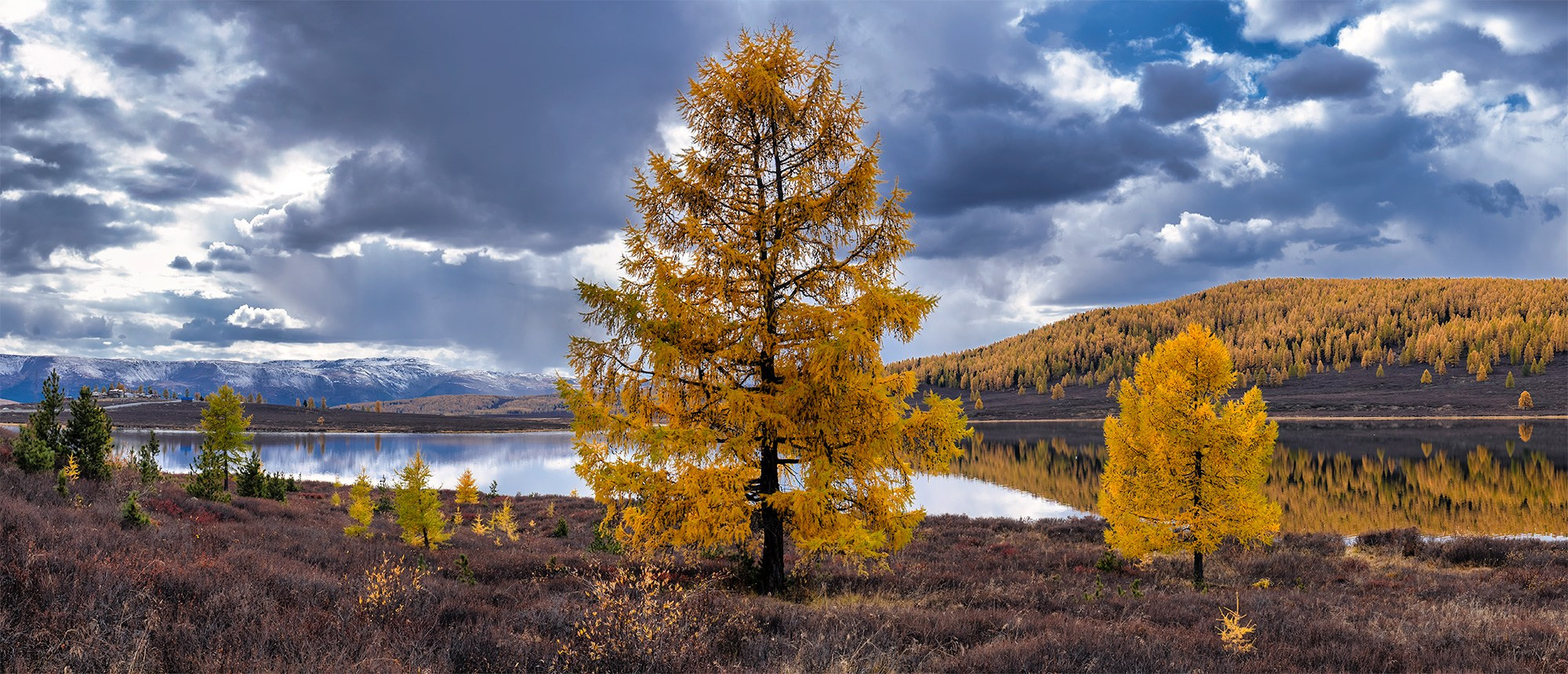 Алтай. Фотограф Владимир Остапенко