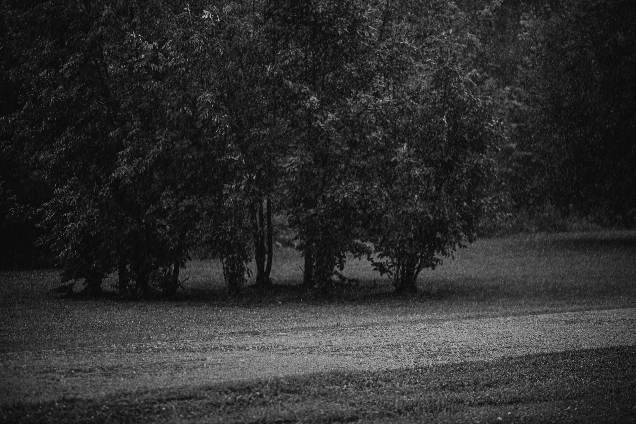 Чёрно-белая фотосессия в дождь