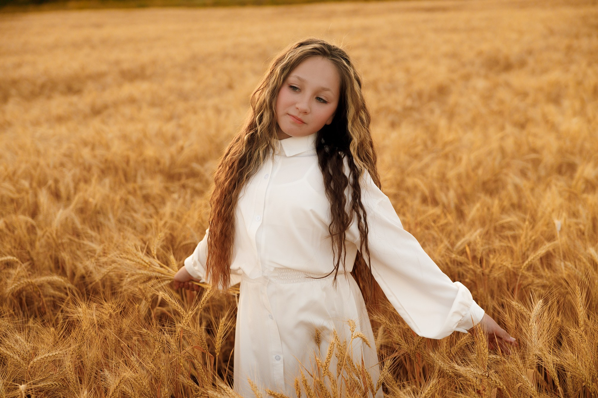 Пименовы. Главная