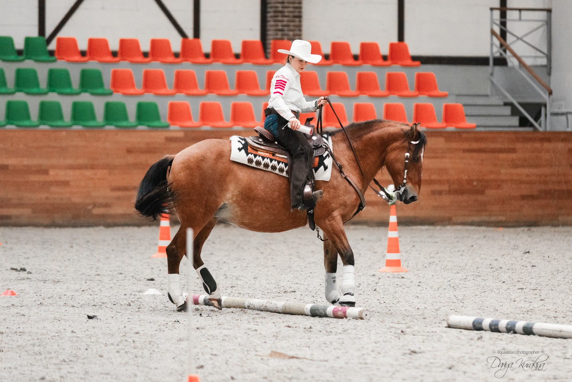 8-я международная выставка Конная Россия. Конный фотограф Куракина Дарья • Фотосессии с лошадьми