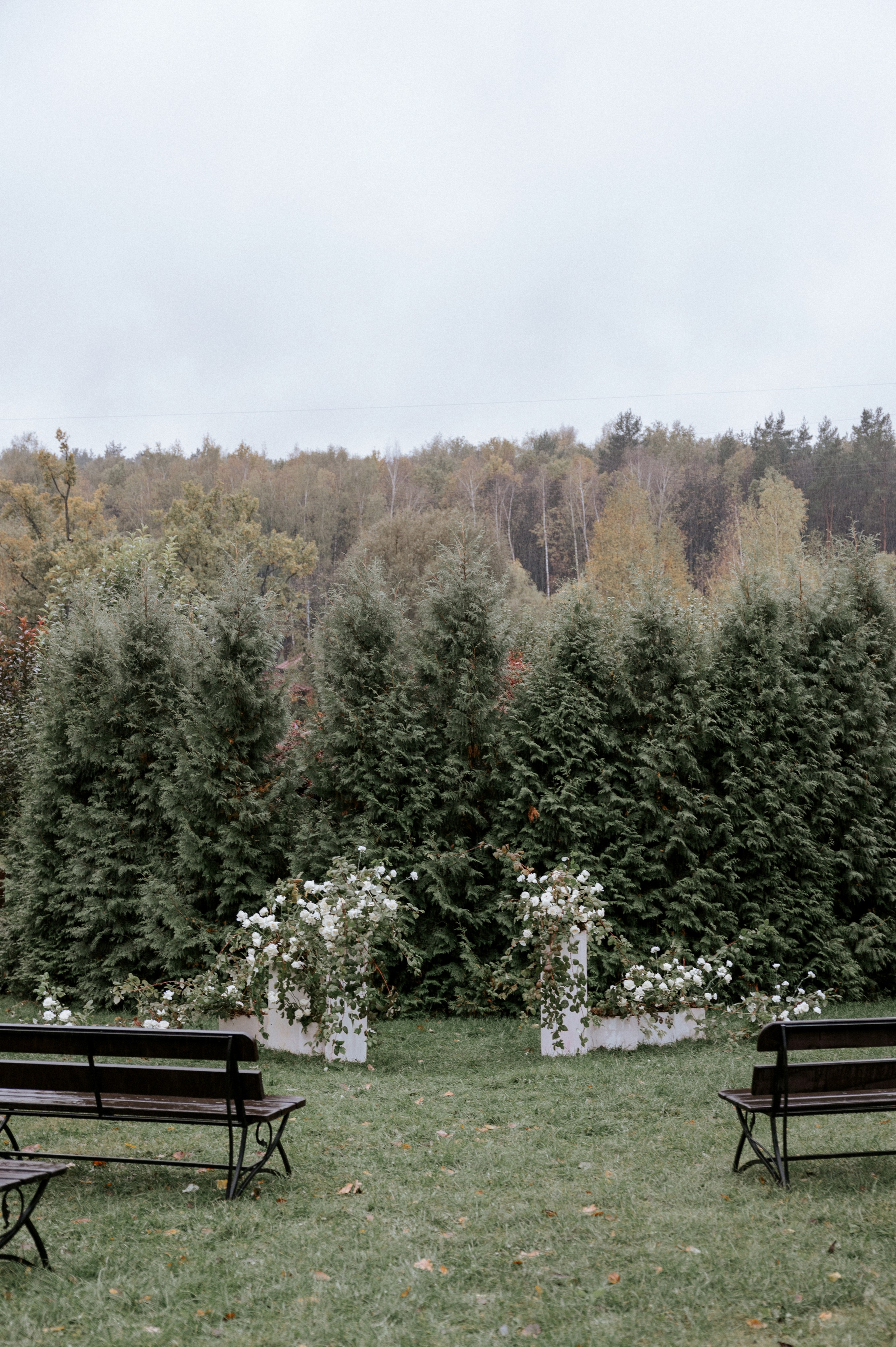 Оля & Артем. Оформление свадеб, декор свадеб Вера Маркова, Москва