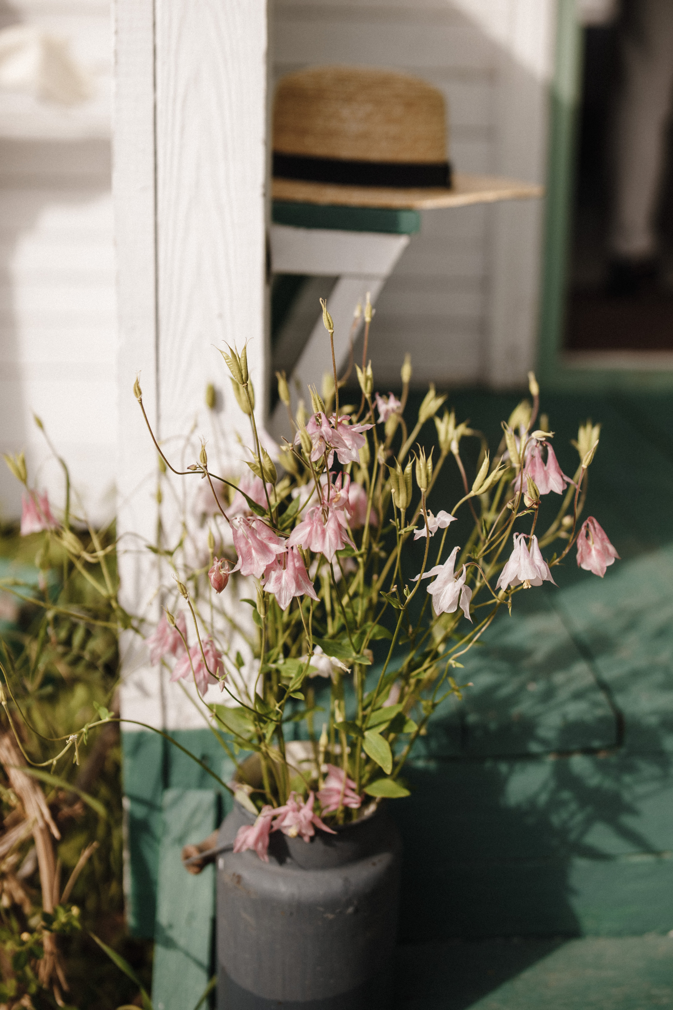 Серёжа и Алёна. Фотограф Андрей Баксов