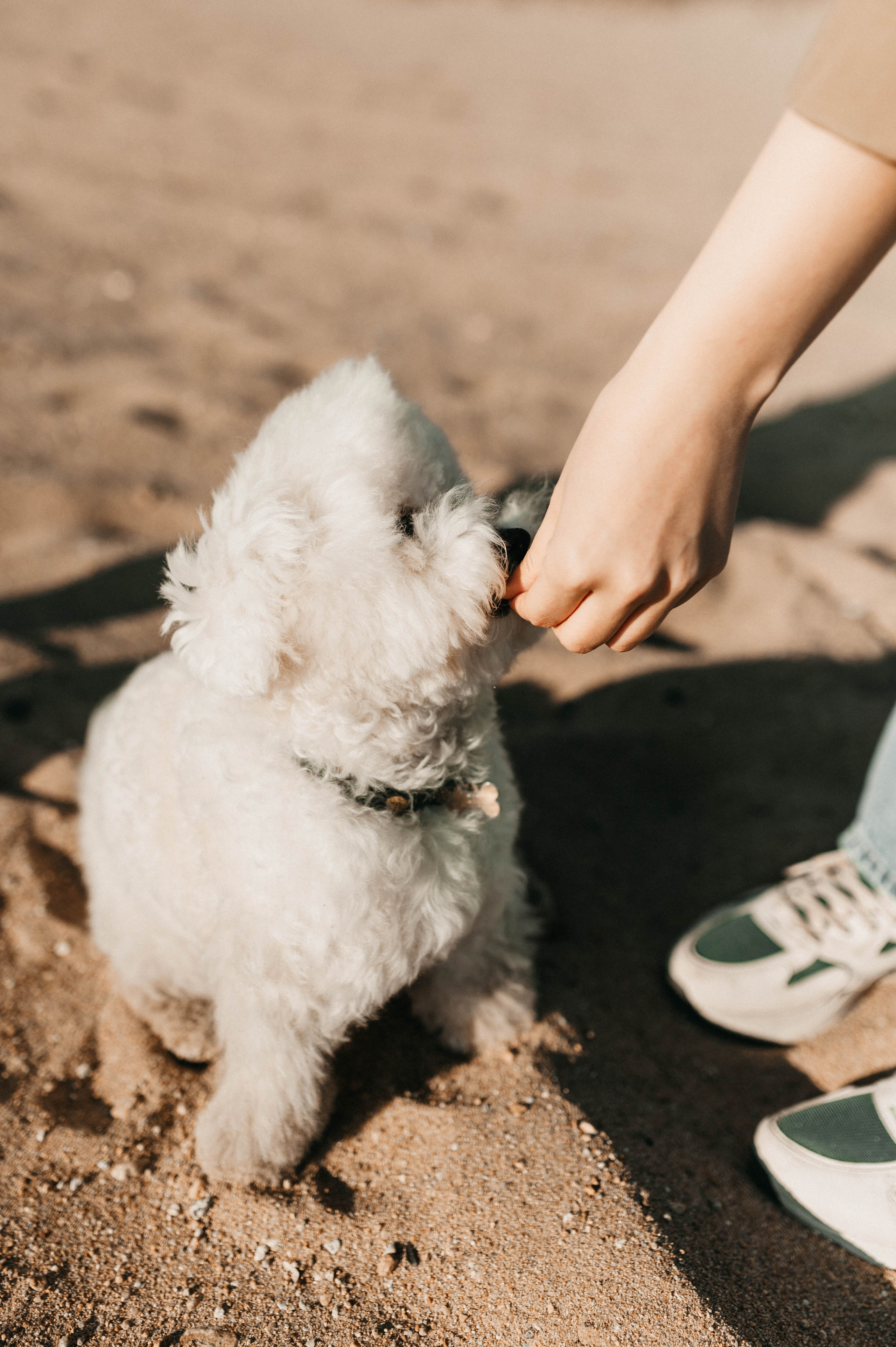 Коля и Алина. Свадебный и семейный фотограф в Чите Юлия Оранская