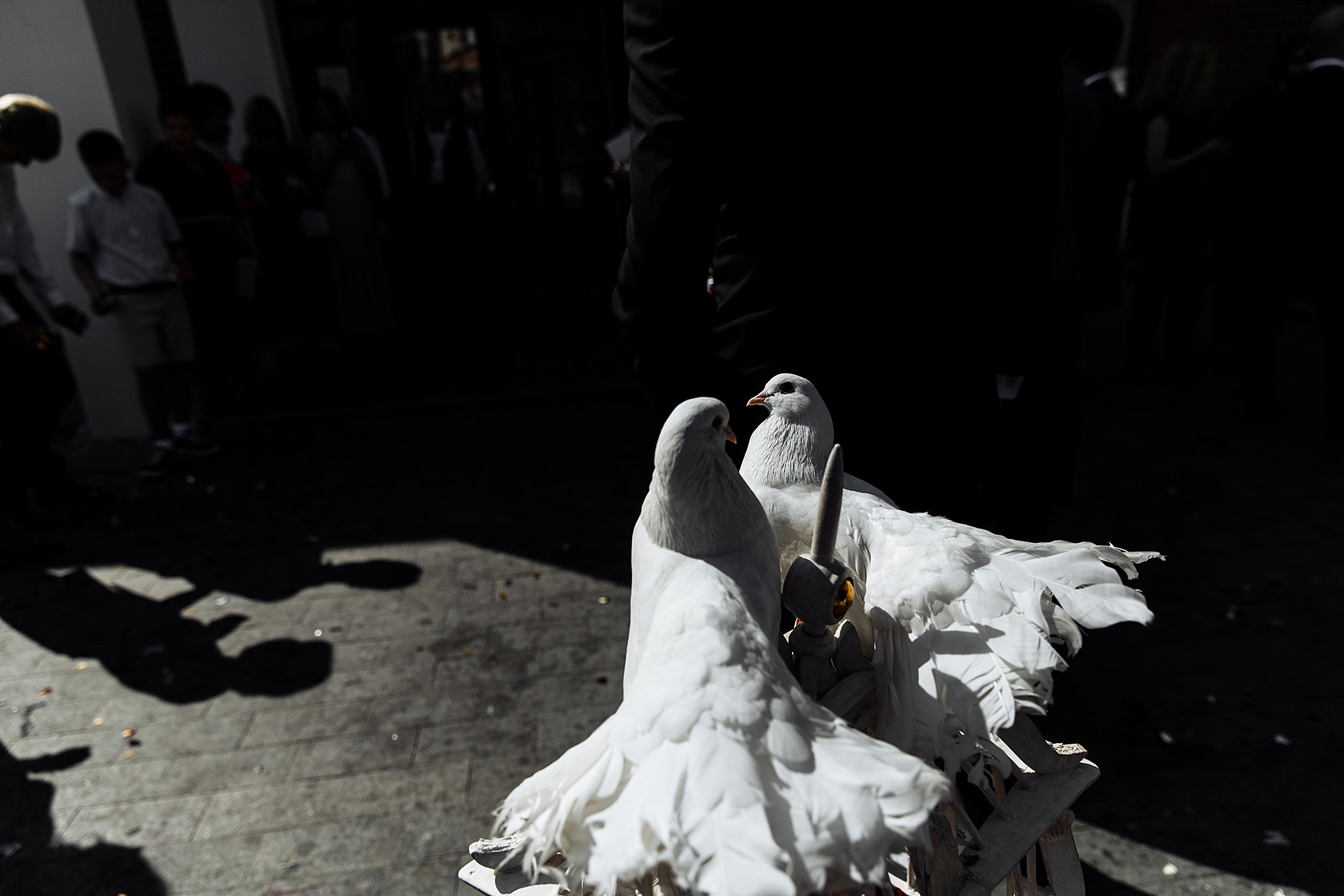 А. С. Пушкин женился!. Фотограф Игорь Цаплин