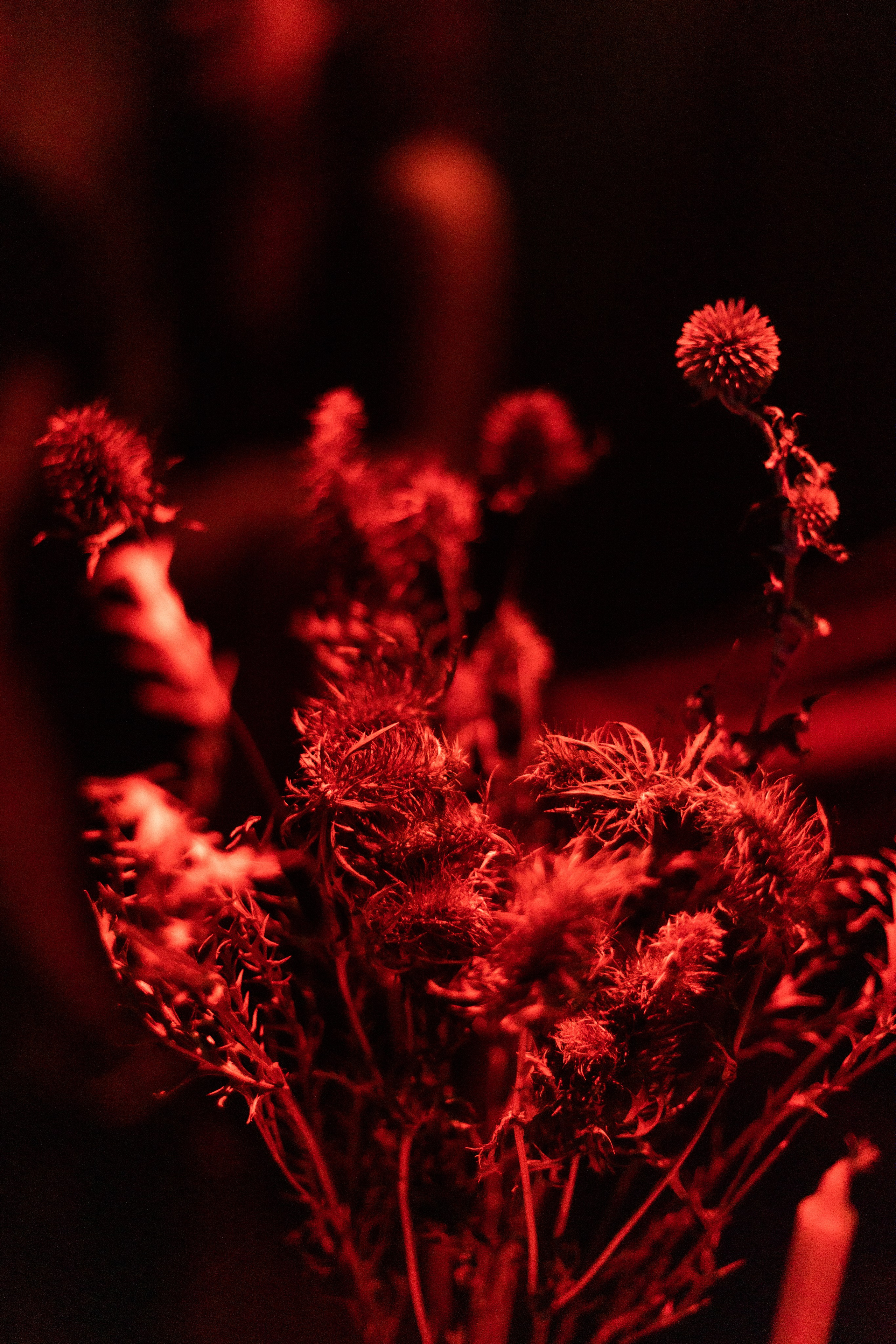 SENS 2023. Фотограф в Москве Десятова Ксения