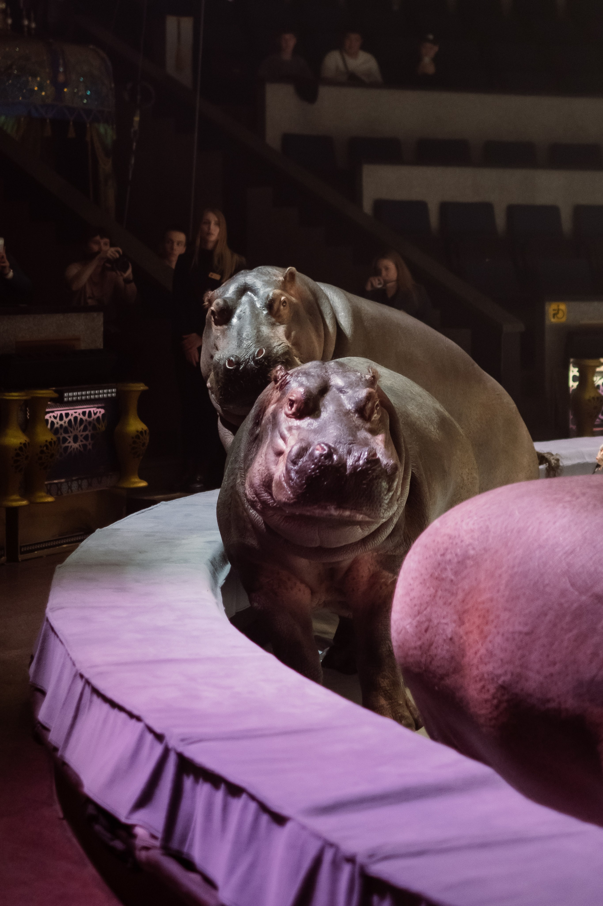 Репортаж. Фотограф Новосибирск Анна Рождественская
