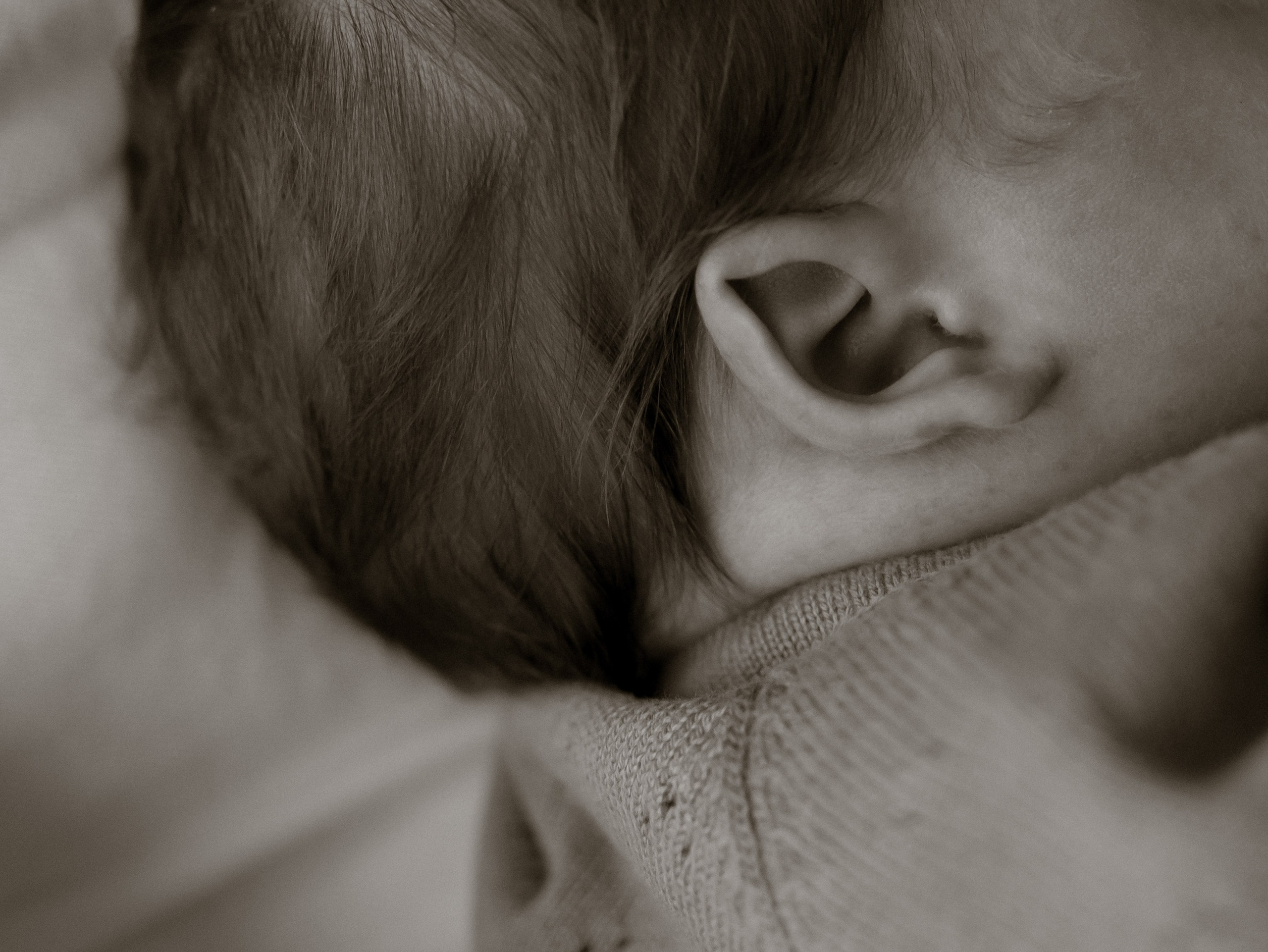 Фотограф во Владимире, Москве и Суздале-Виктория Чистякова