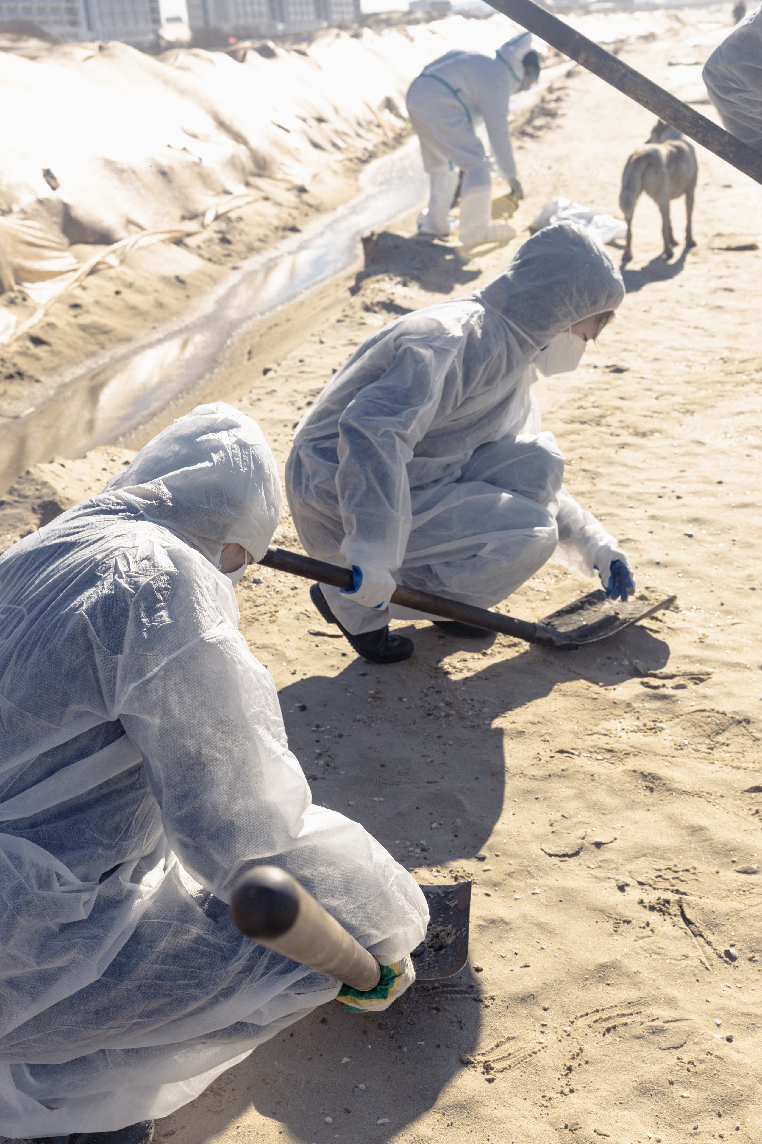 Anapa. Фотограф Маша Новодережкина