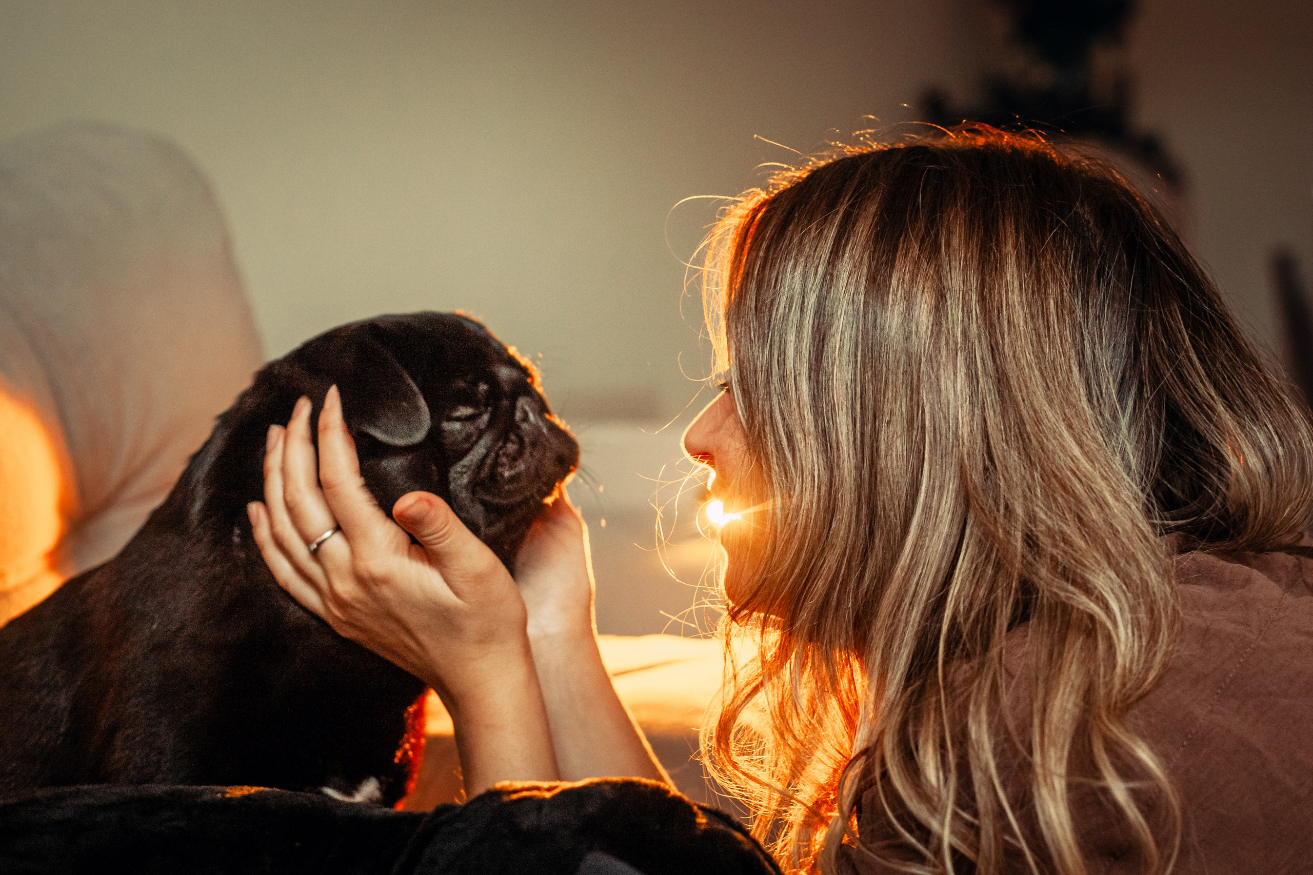 Оля, Харви, Луис. Фотограф-анималист Татьяна Степанова