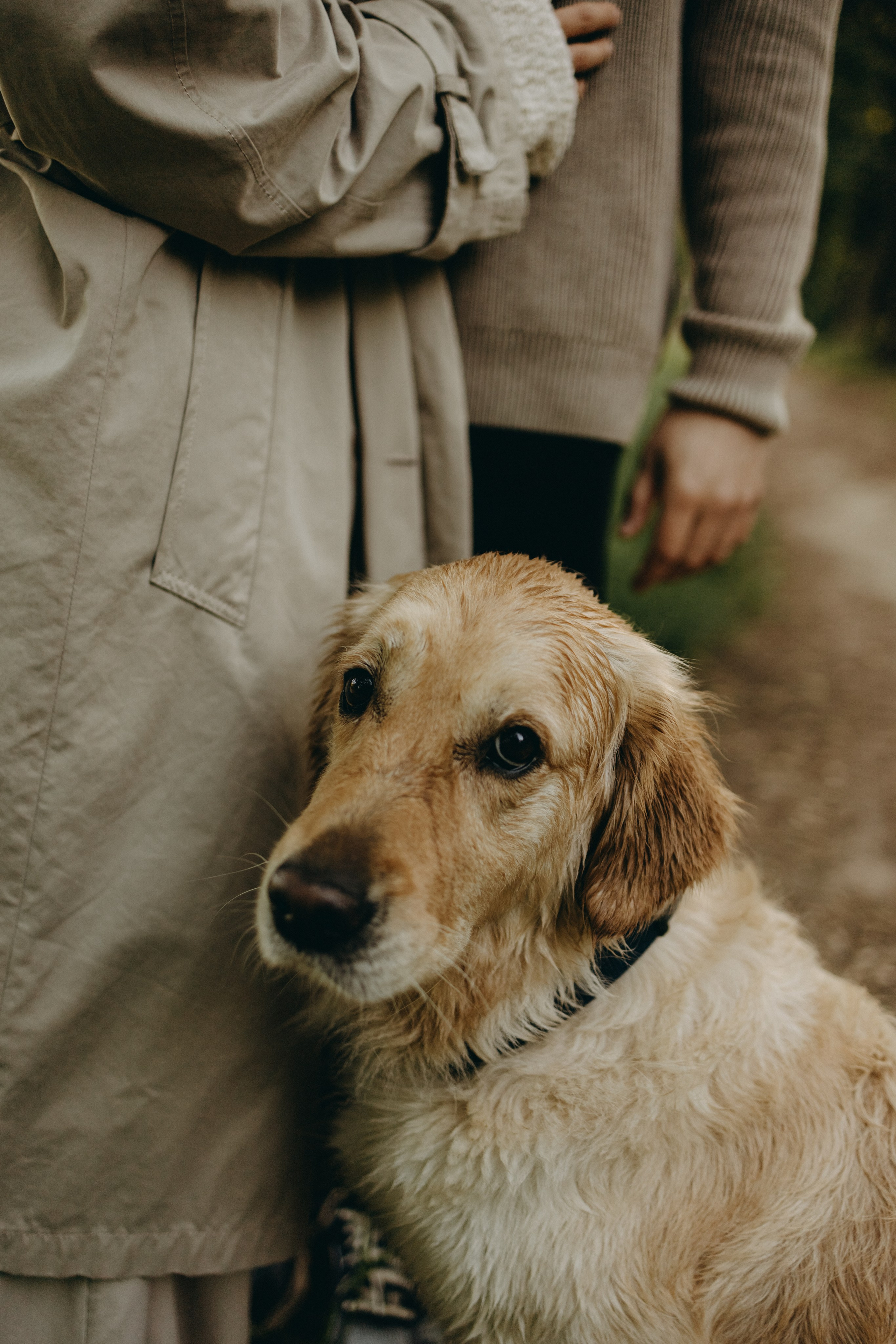 Пенни и ребята. Фотограф — Анималист | Санкт-Петербург