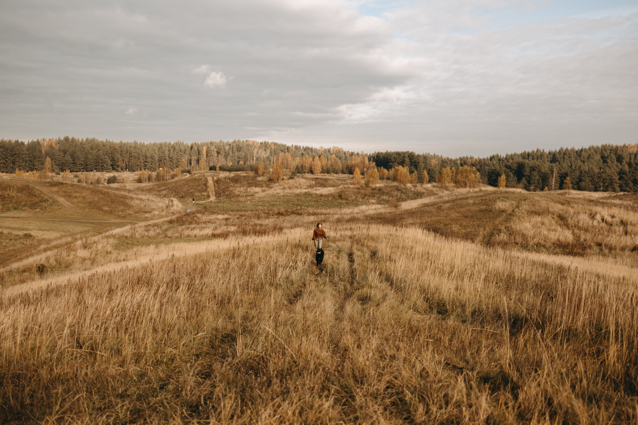 Лора и Джанго. Фотограф — Анималист | Санкт-Петербург