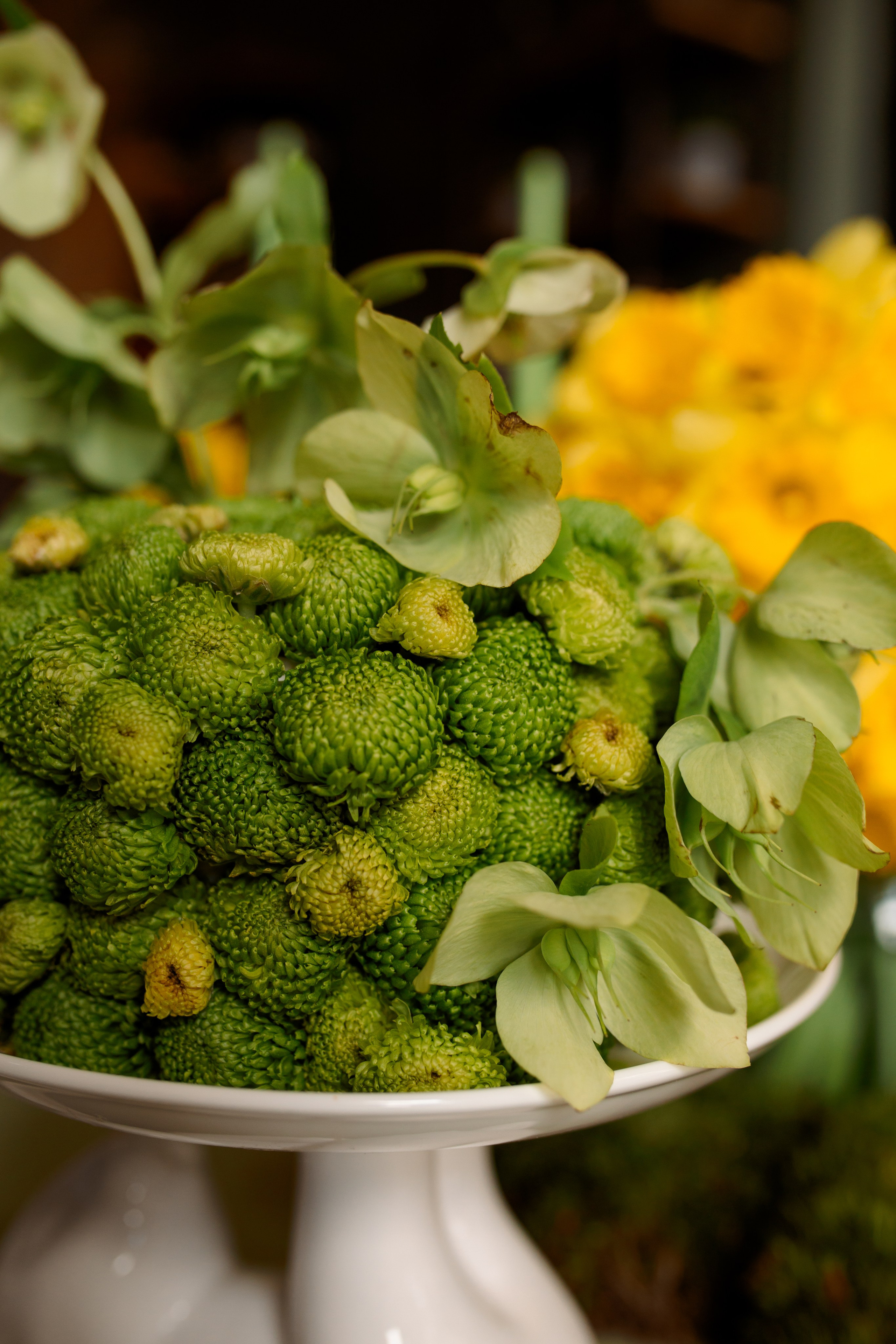 Артем и Ася