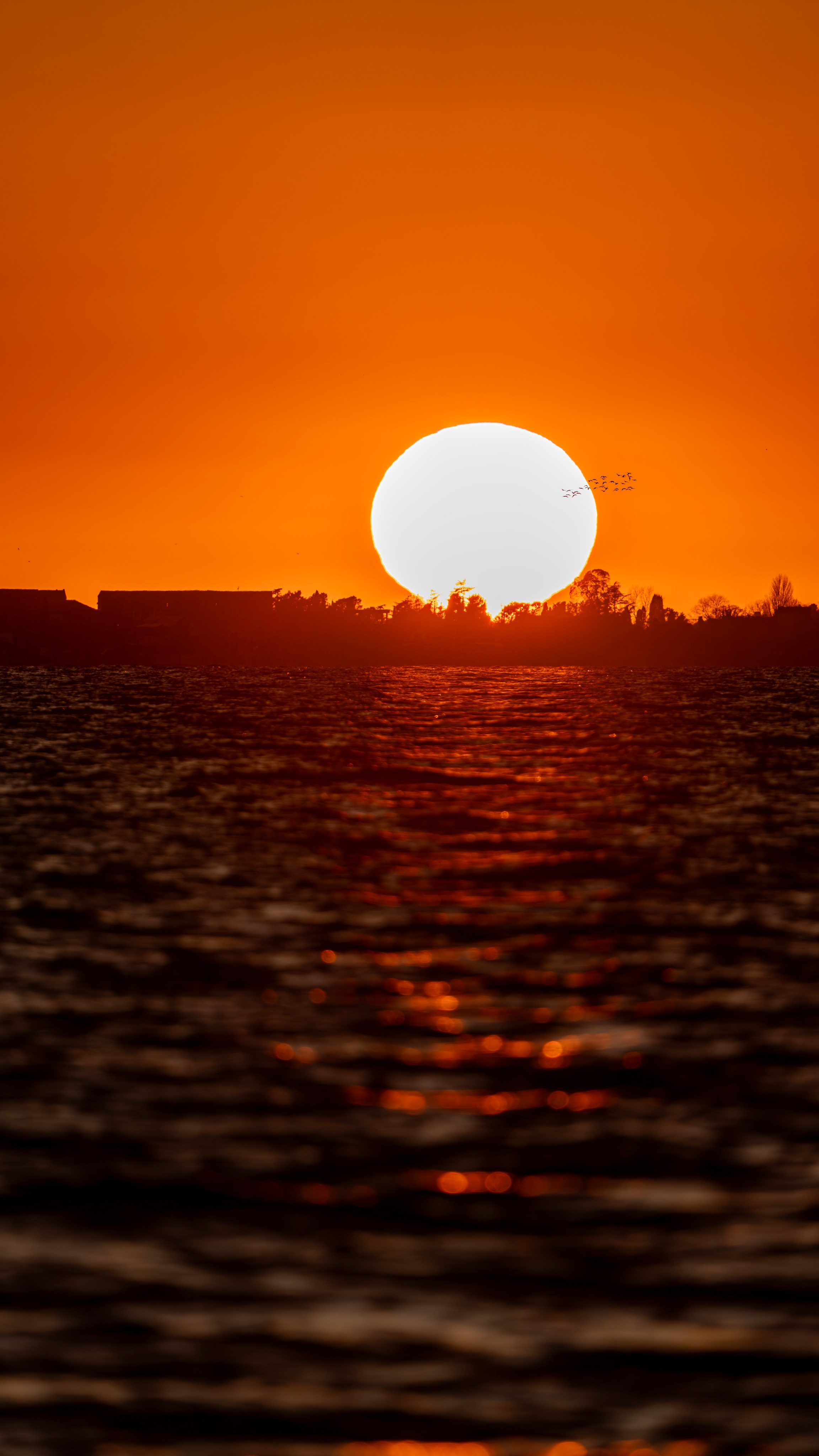 Заставки. Главная