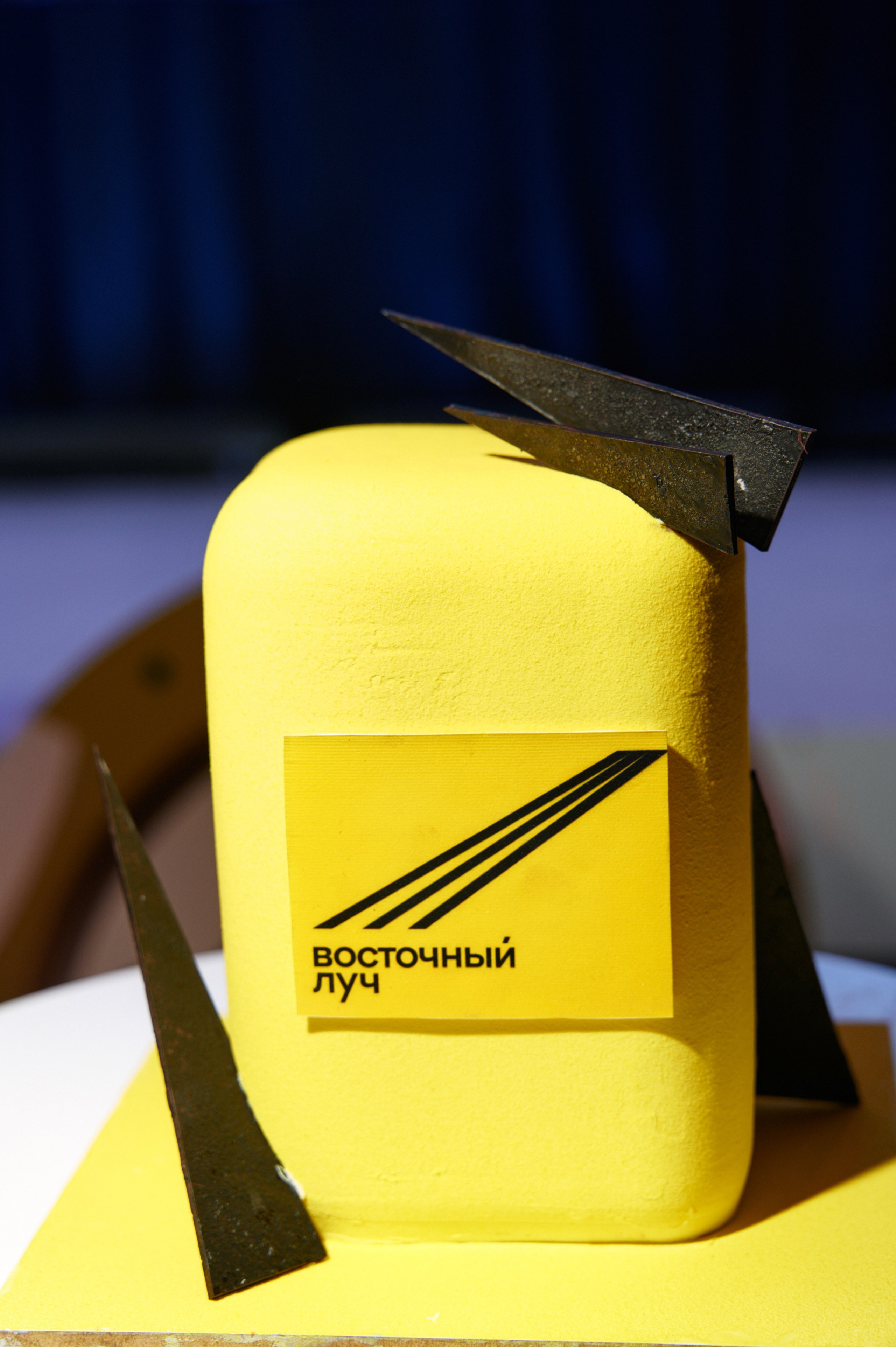 Восточный Луч. Свадебный фотограф во Владивостоке Гарагуля Игорь