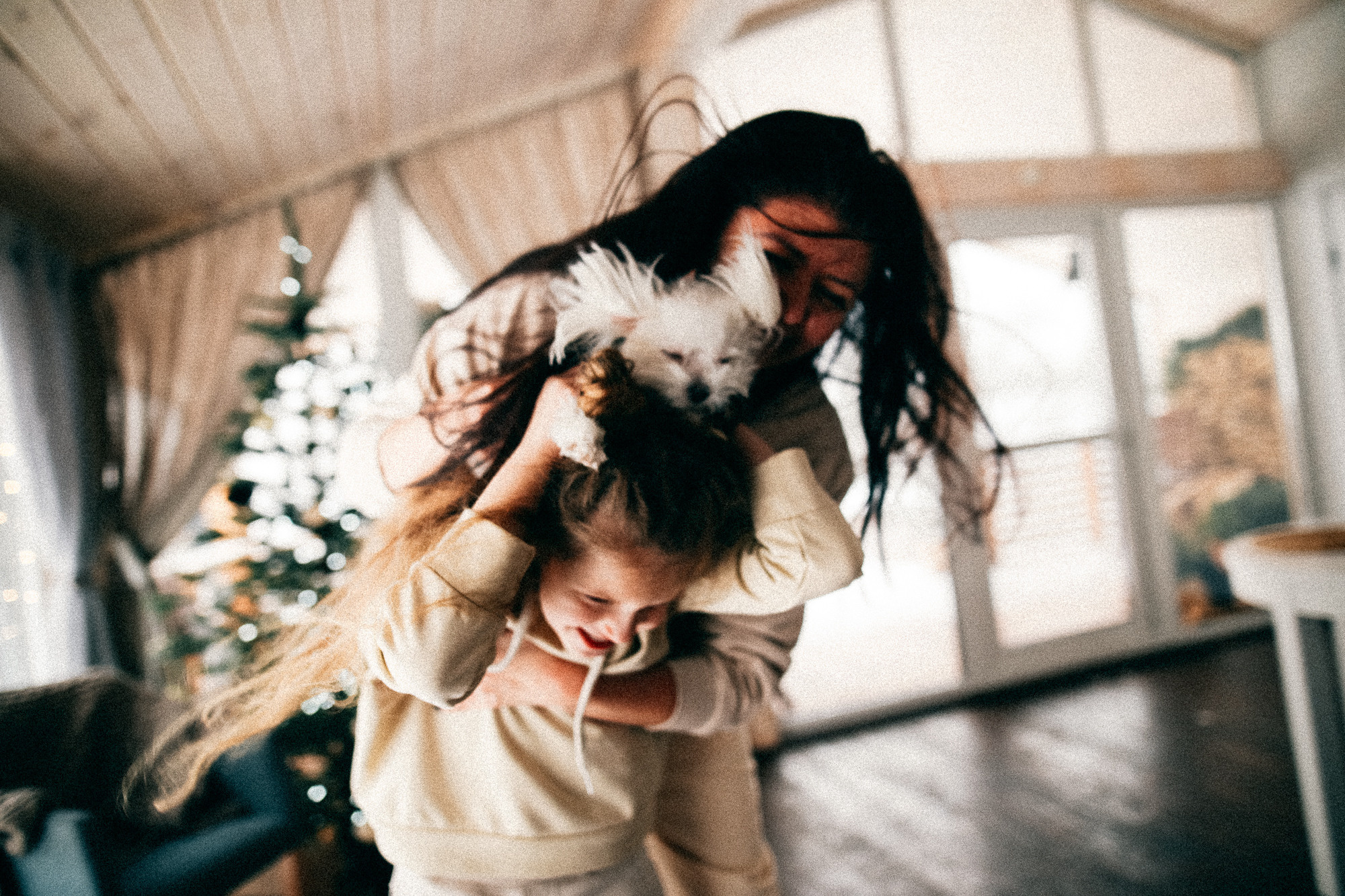 Колючий декабрь. Соня Черных (sophieblack)