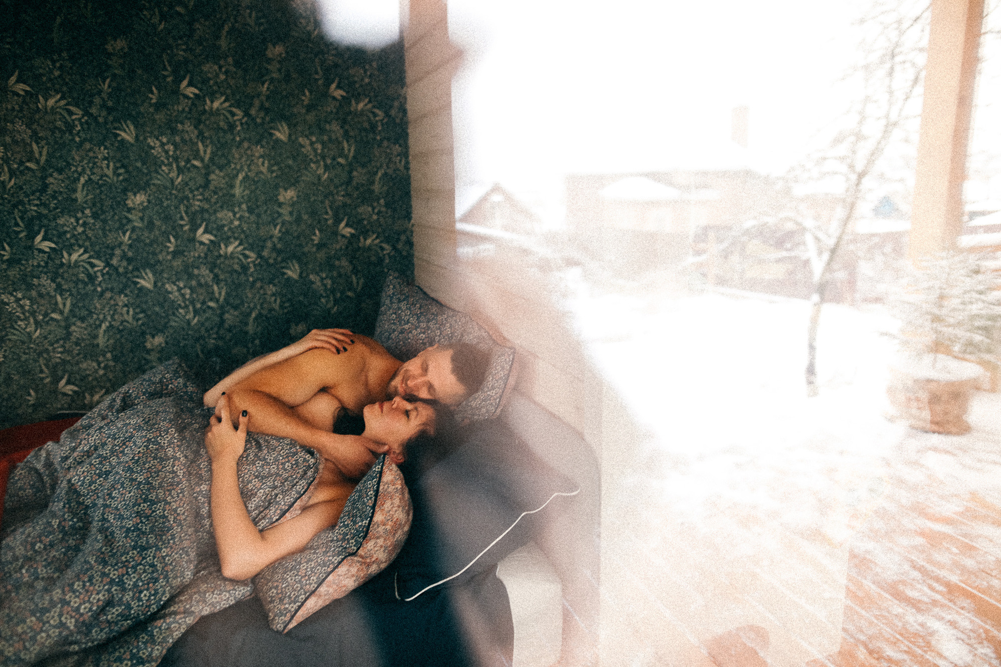 Колючий декабрь. Соня Черных (sophieblack)